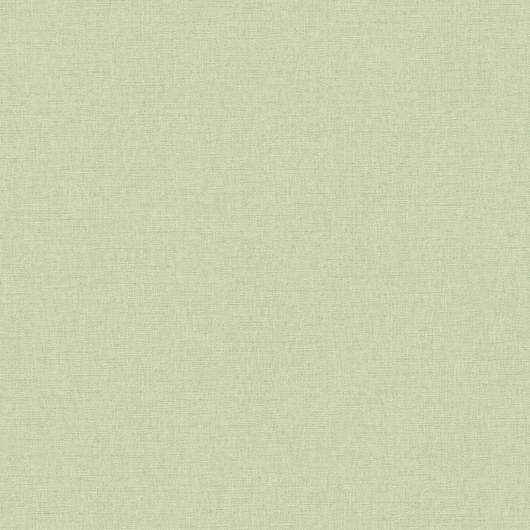 Vliestapete 399886 Grün Uni Einfarbig Michalsky 6 A.S. Creation