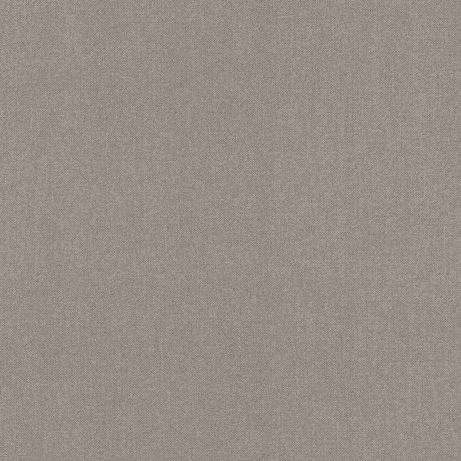 Rasch | Color Your Life | 633573 | Vliestapete | Einfarbig | Uni | 0.53 x 10.05 m | Braun