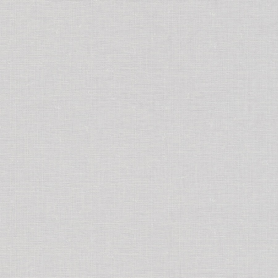 A.S. Creation | House of Turnowsky | 389024 | Vliestapete | Einfarbig | 10.05 x 0.53 m | Grau