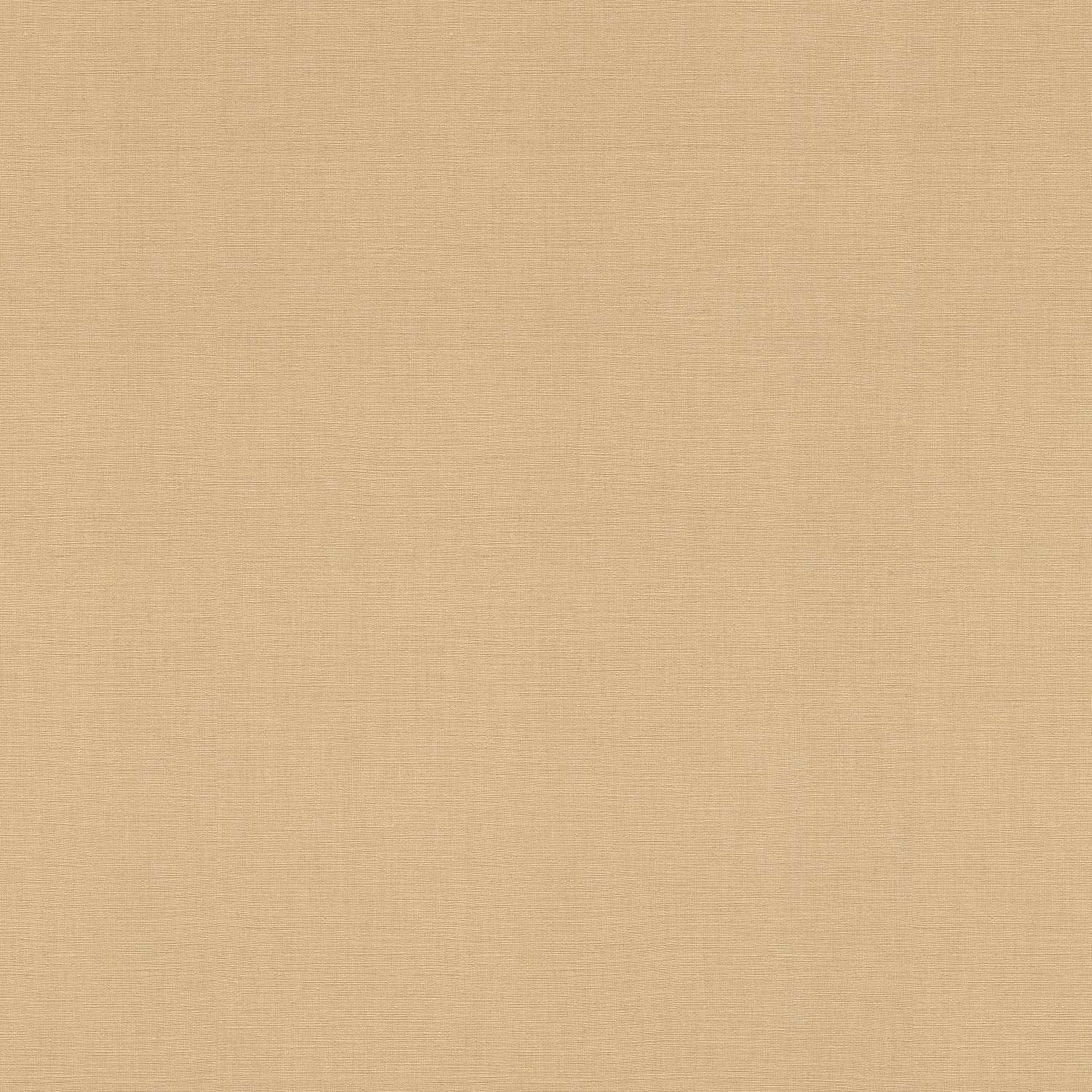 Rasch | Rhapsody | 531367 | Vliestapete | Einfarbig | Uni | 0.53 x 10.05 m | Gold