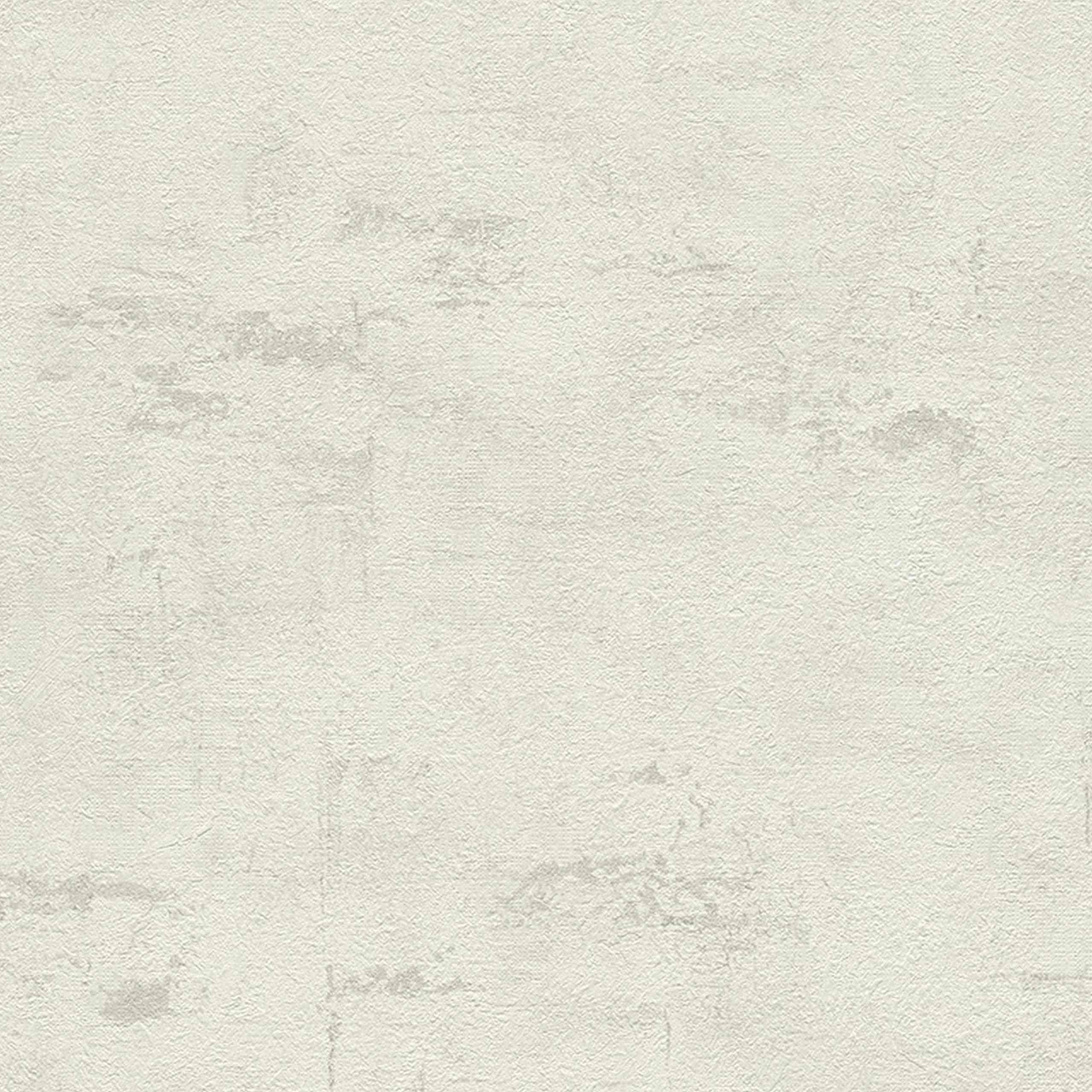 A.S. Creation | Beton Concrete & More | 306682 | Vliestapete | Uni | 0.53 x 10.05 m | Creme