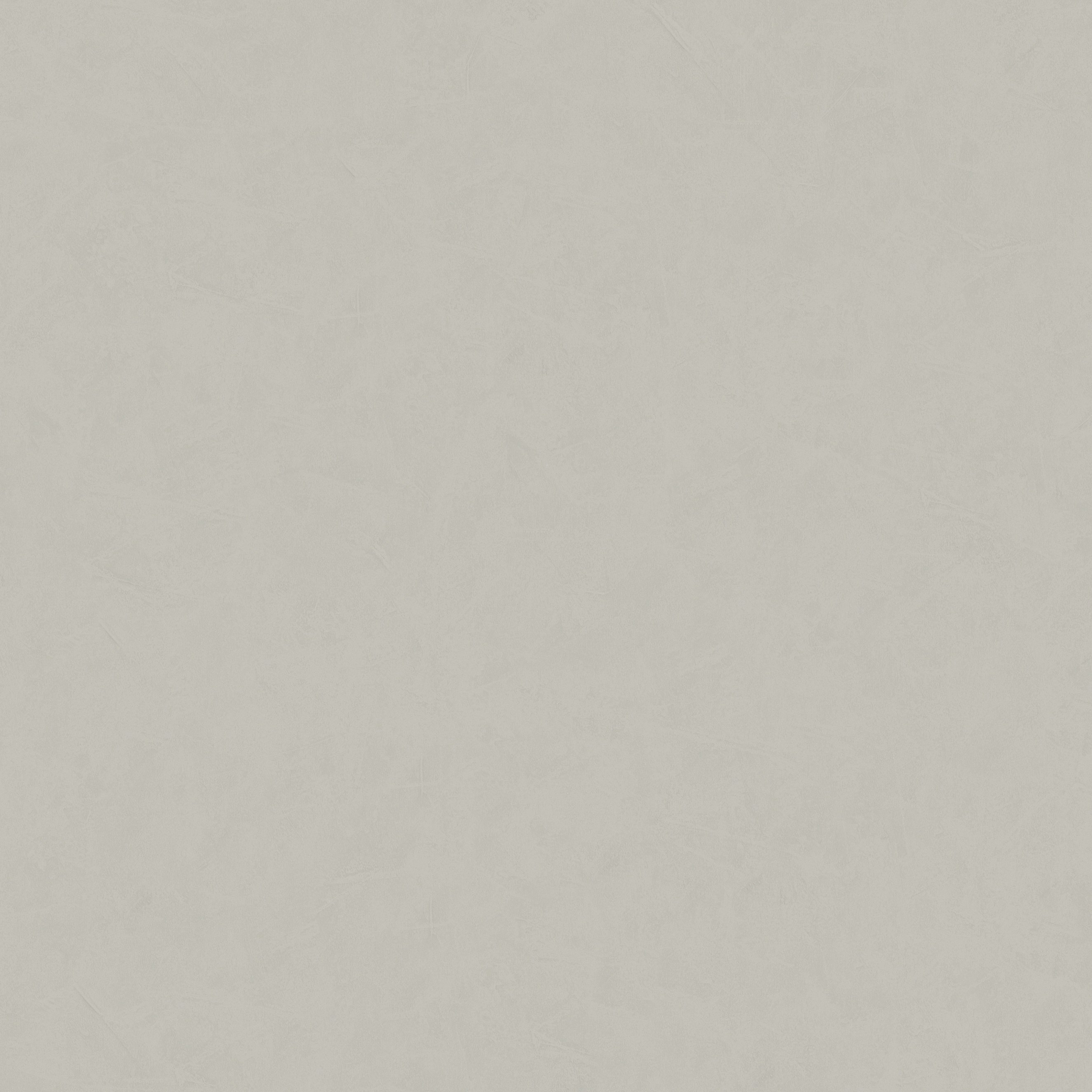 A.S. Creation | New Life | 376954 | Vliestapete | Einfarbig | Uni | 0.53 x 10.05 m | Grau