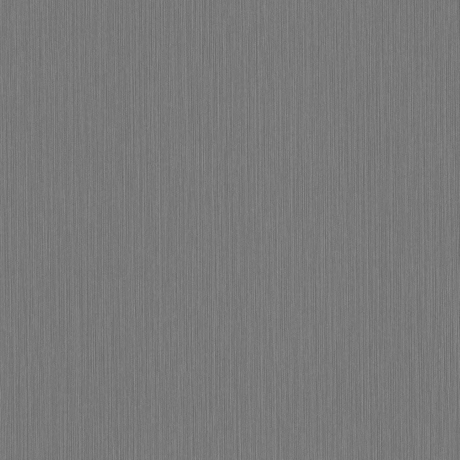 Rasch | Curiosity | 537697 | Vliestapete | Einfarbig | Uni | 0.53 x 10.05 m | Grau