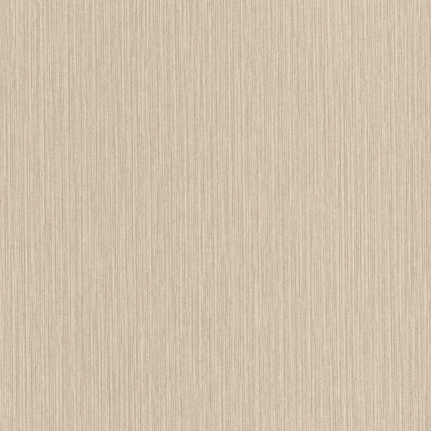 Rasch | Curiosity | 537635 | Vliestapete | Einfarbig | Uni | 0.53 x 10.05 m | Beige
