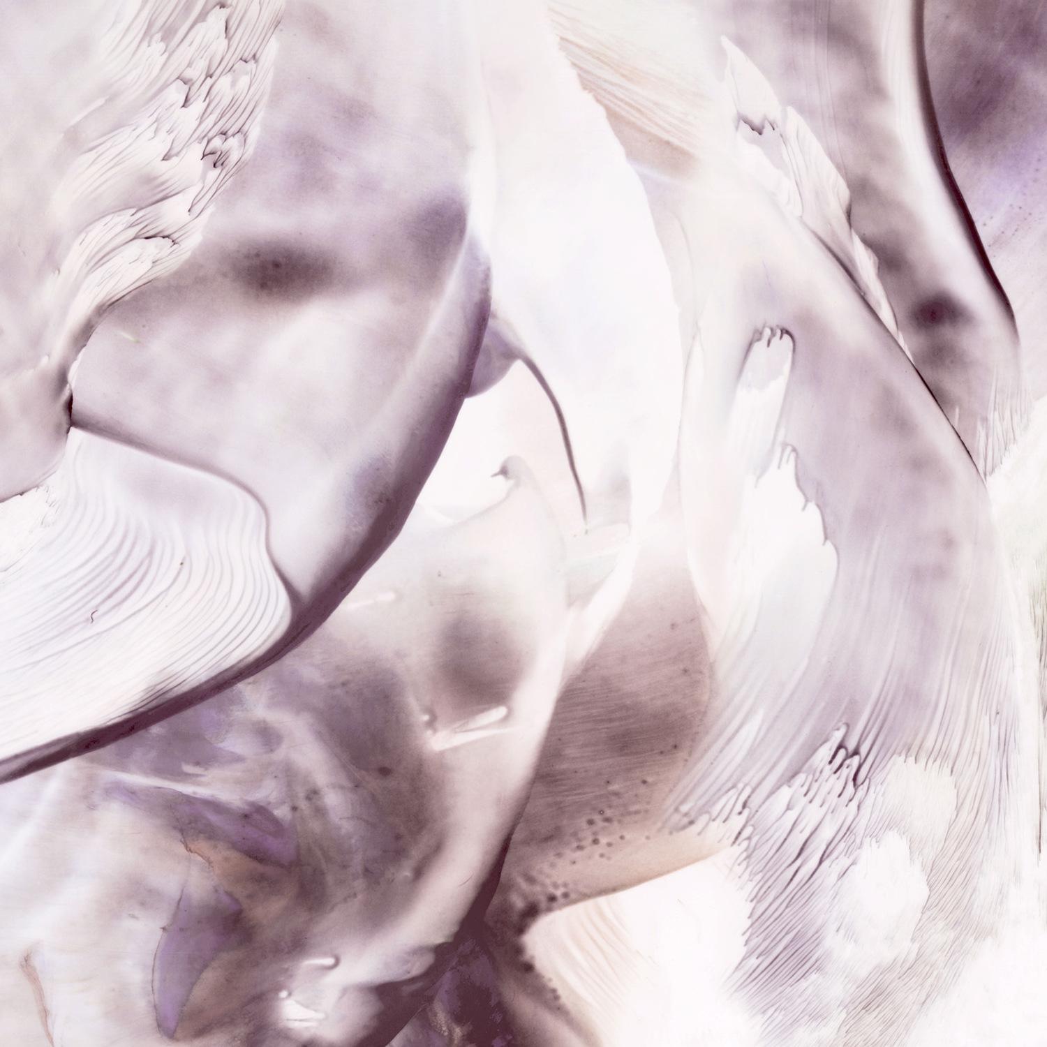 Fototapete Vlies 2550N-82 Grafik 1.5 x 2.7 m Fashion for Walls Erismann