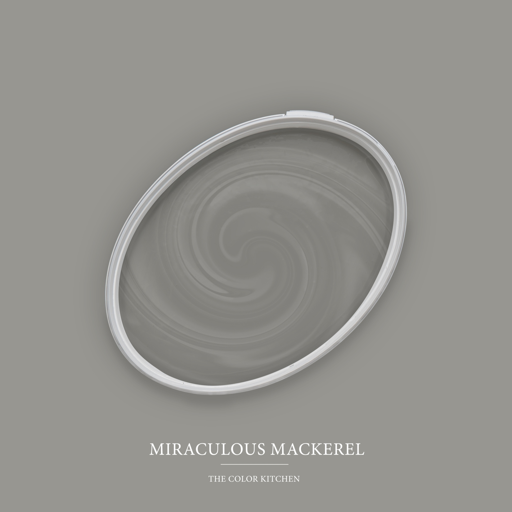 Wandfarbe Grau matt | The Color Kitchen Miraculous Mackerel | Exklusive Innendispersion