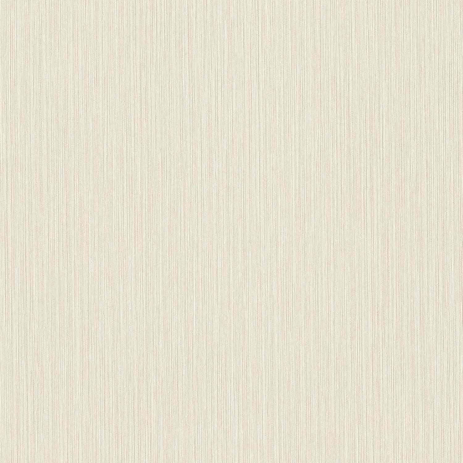 Rasch | Curiosity | 537628 | Vliestapete | Einfarbig | Uni | 0.53 x 10.05 m | Creme