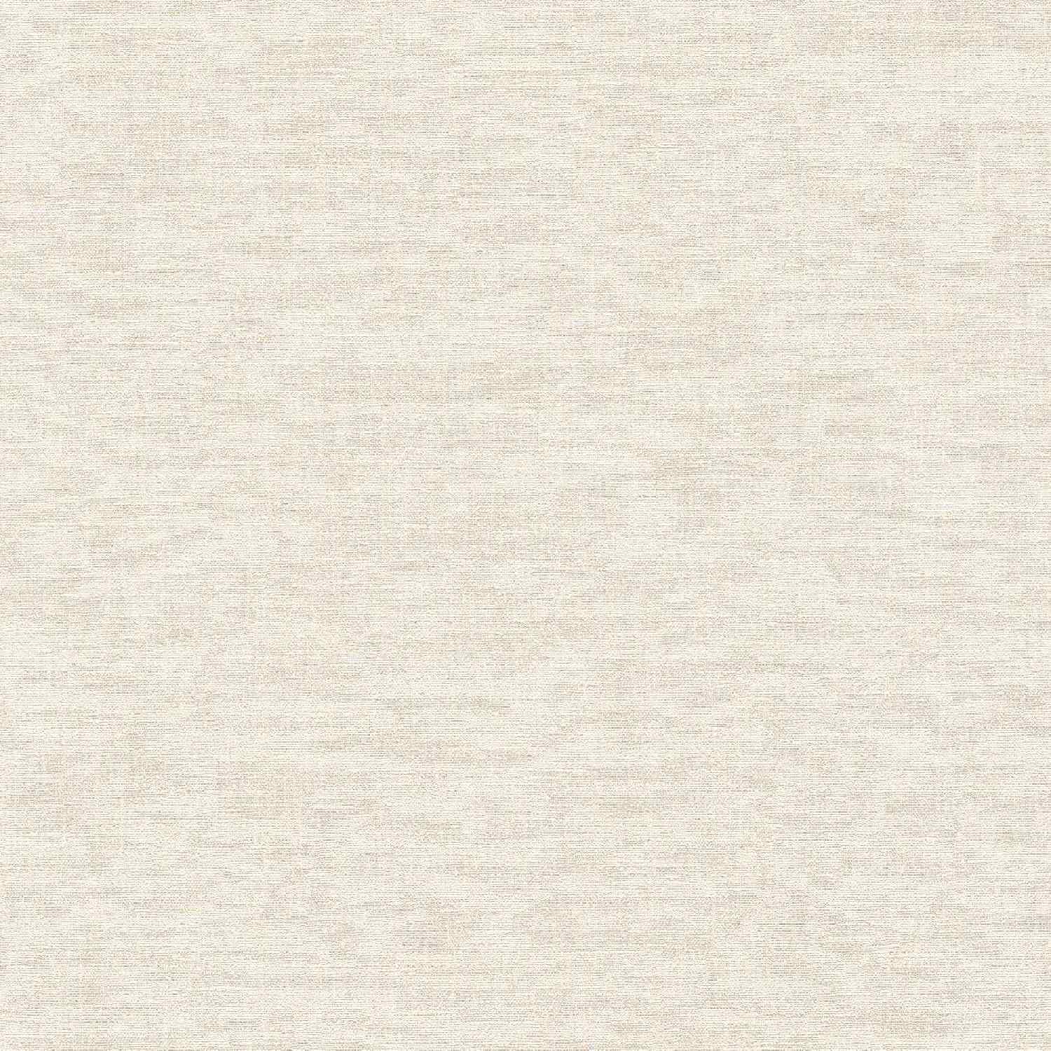 A.S. Creation | Smart Surfaces | 395652 | Vliestapete | Uni | Einfarbig | 0.53 x 10.05 m | Beige