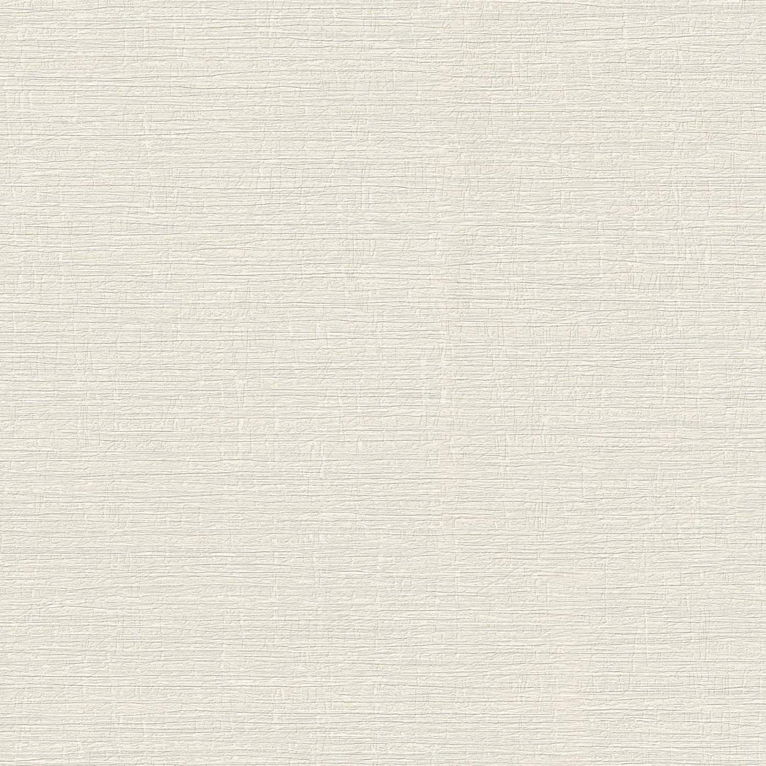 A.S. Creation | Stories of Life | 396483 | Vliestapete | Struktur | 0.53 x 10.05 m | Beige