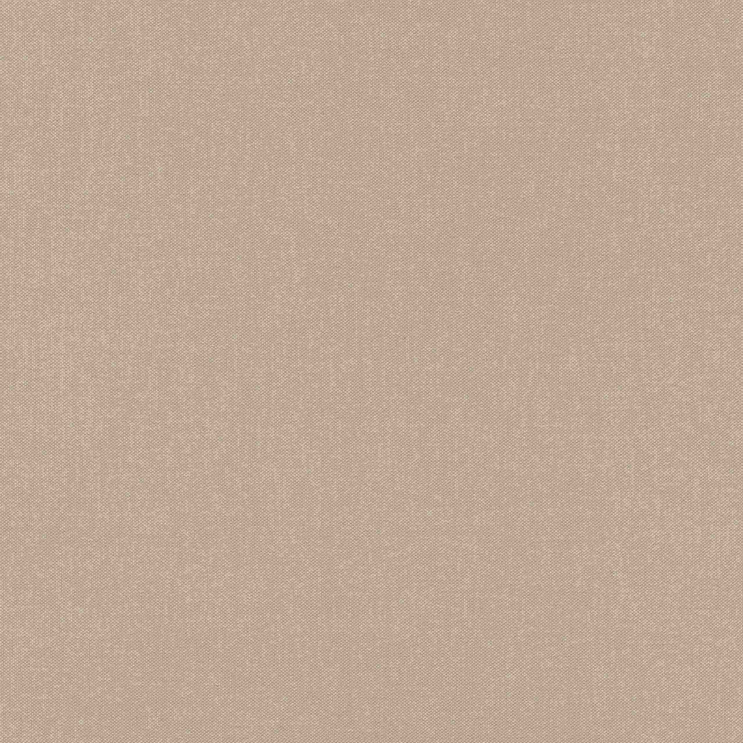Rasch | Poetry | 423921 | Vliestapete | Einfarbig | Uni | 0.53 x 10.05 m | Beige