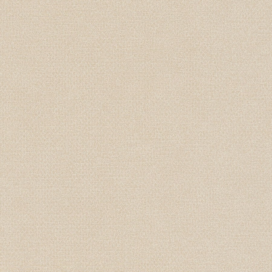 A.S. Creation | Natural Living | 386621 | Vliestapete | Einfarbig | 10.05 x 0.53 m | Beige