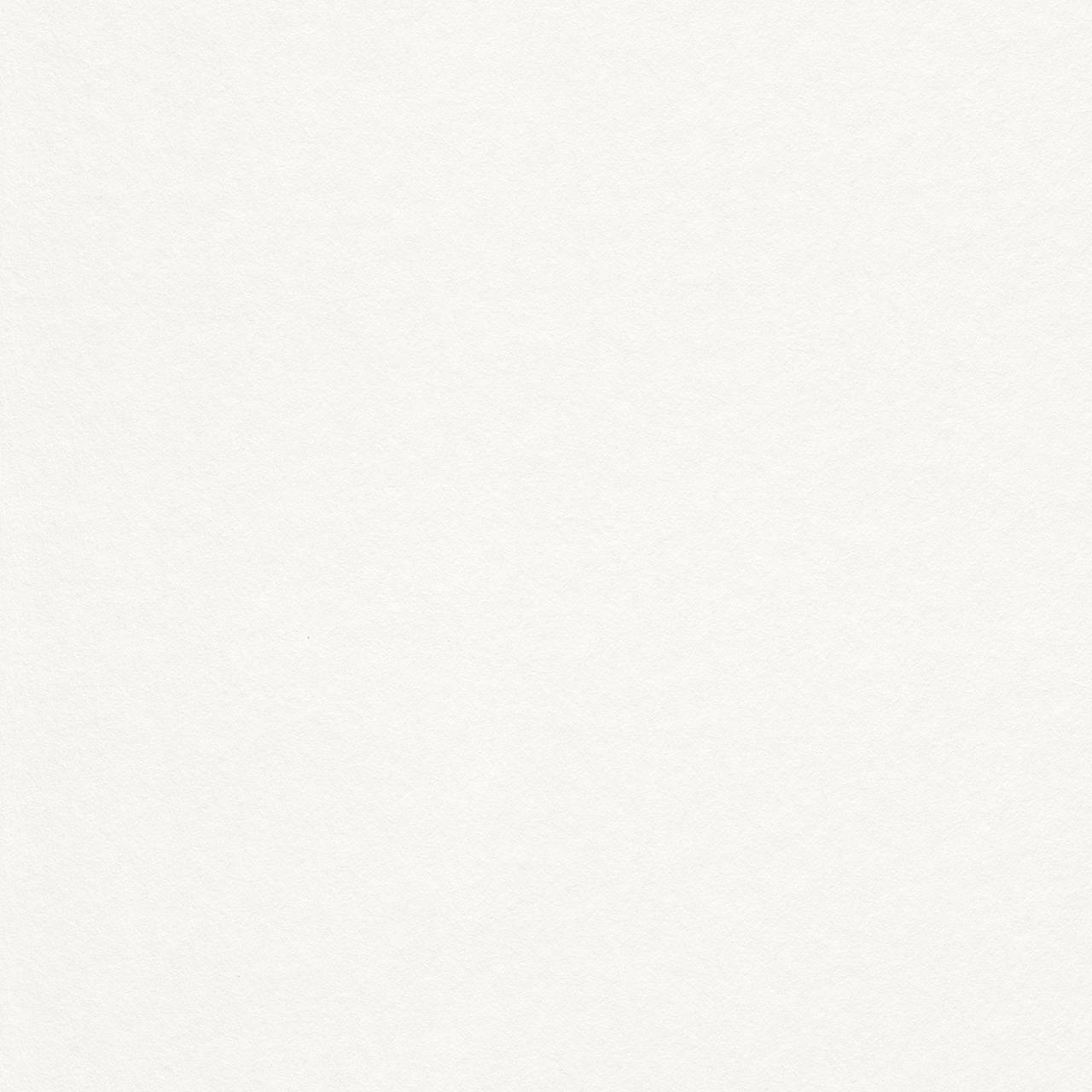 Rasch Vliestapete Tropical House 182804 | 0.75 x 25 m | Uni Einfarbig Weiß