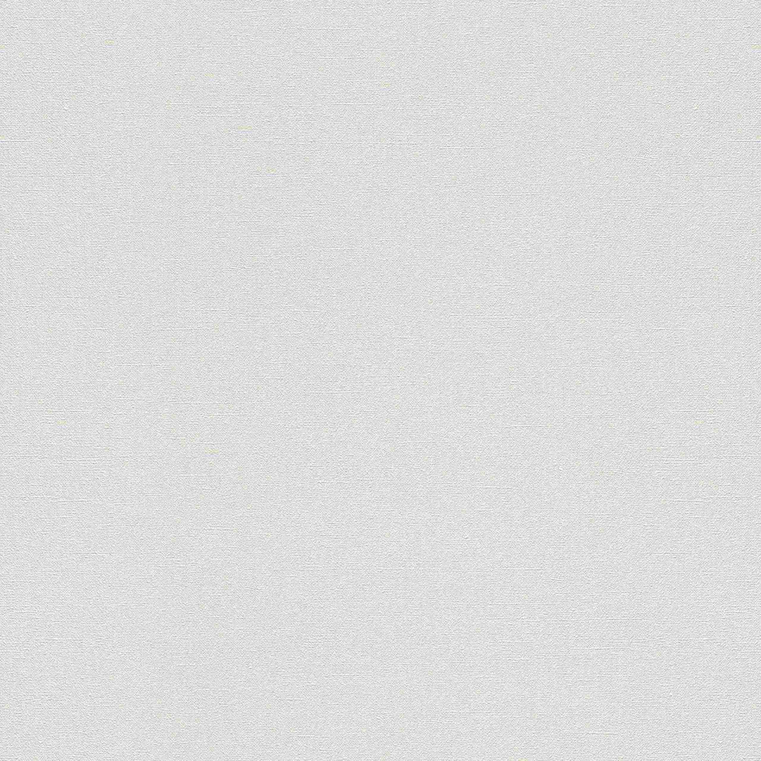 Rasch | Selection | 479324 | Vliestapete | Einfarbig | Uni | 0.53 x 10.05 m | Beige