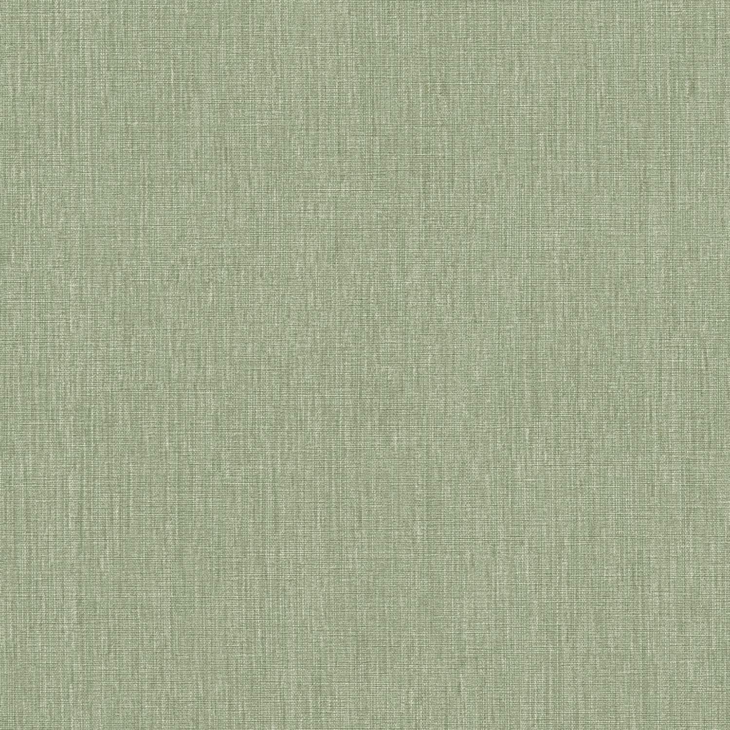 A.S. Creation | Stories of Life | 396521 | Vliestapete | Einfarbig | Uni | 0.53 x 10.05 m | Grün