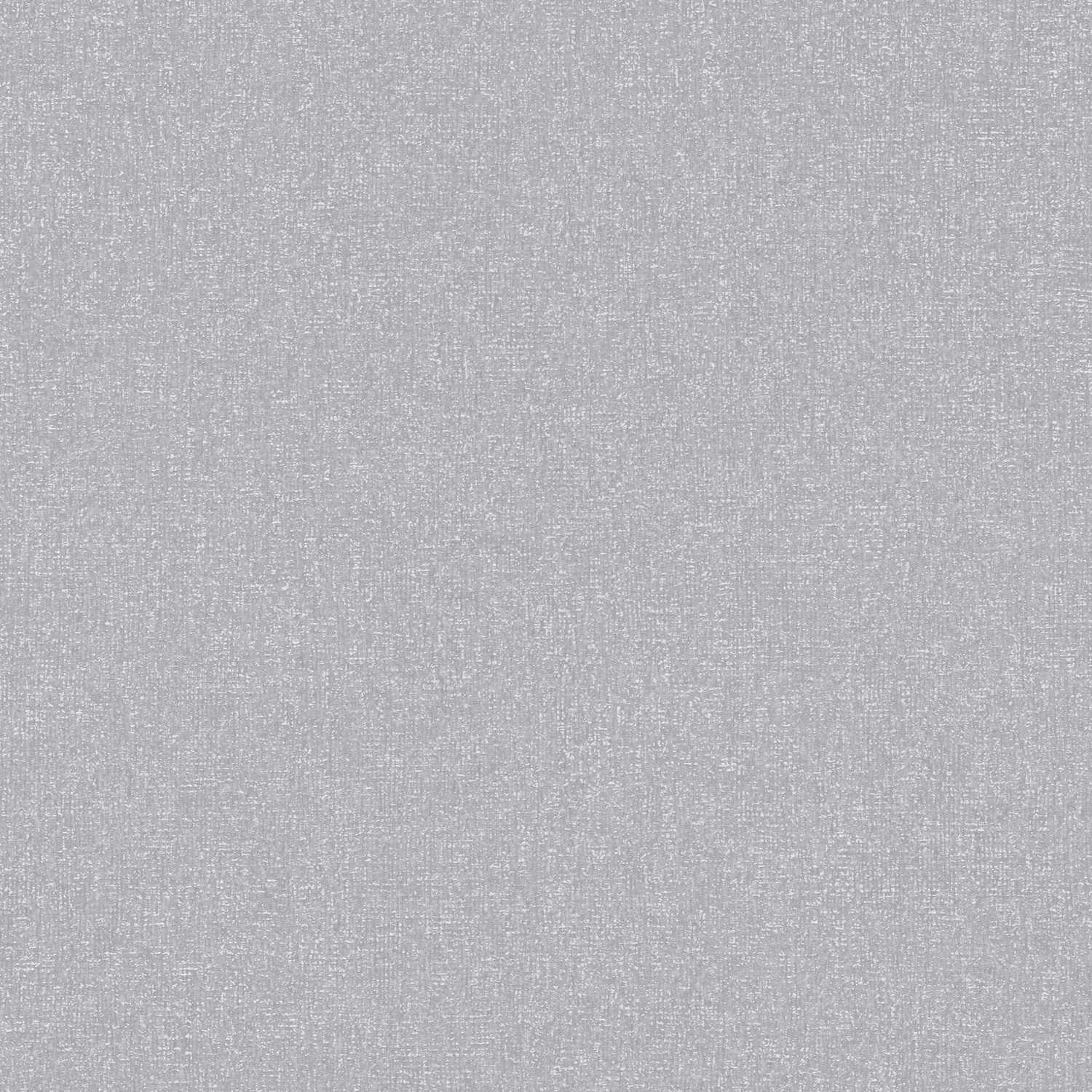 A.S. Creation | Terra | 389257 | Vliestapete | Einfarbig | 10.05 x 0.53 m | Grau