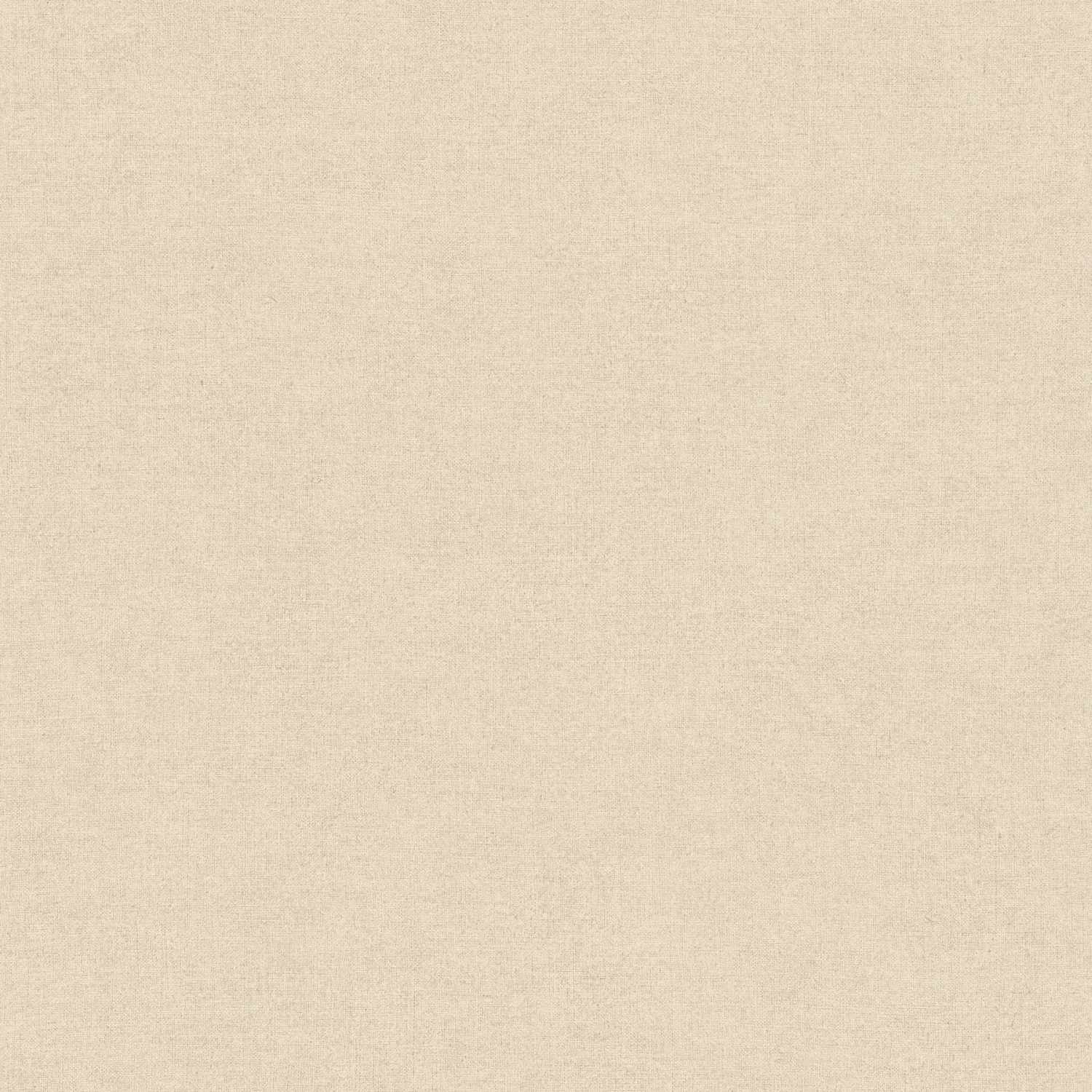 A.S. Creation | Desert Lodge | 367216 | Vliestapete | Einfarbig | Uni | 0.53 x 10.05 m | Beige