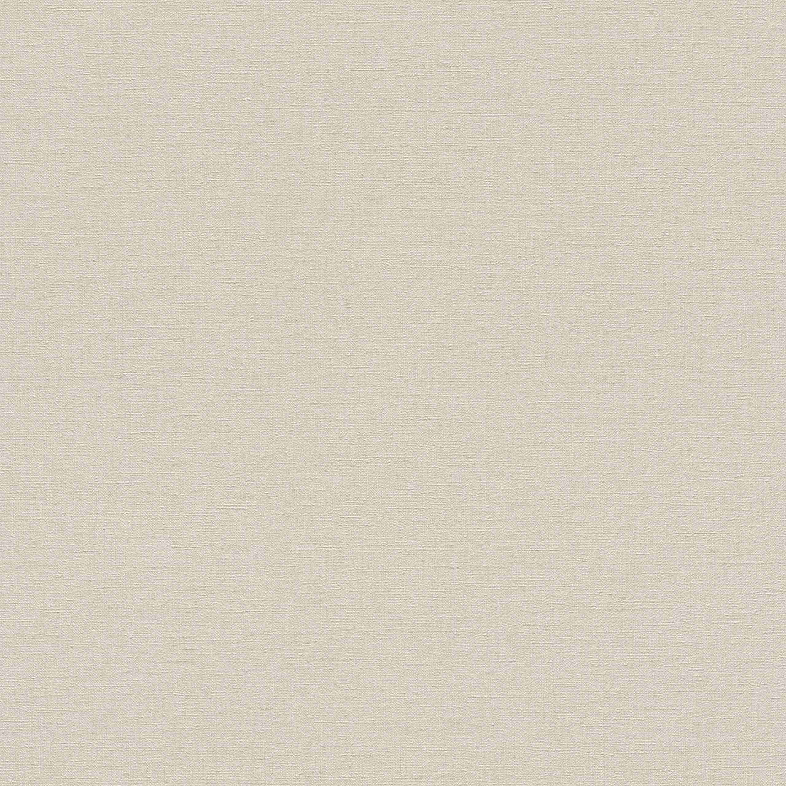Rasch | Denzo | 448634 | Vliestapete | Einfarbig | Uni | 0.53 x 10.05 m | Braun