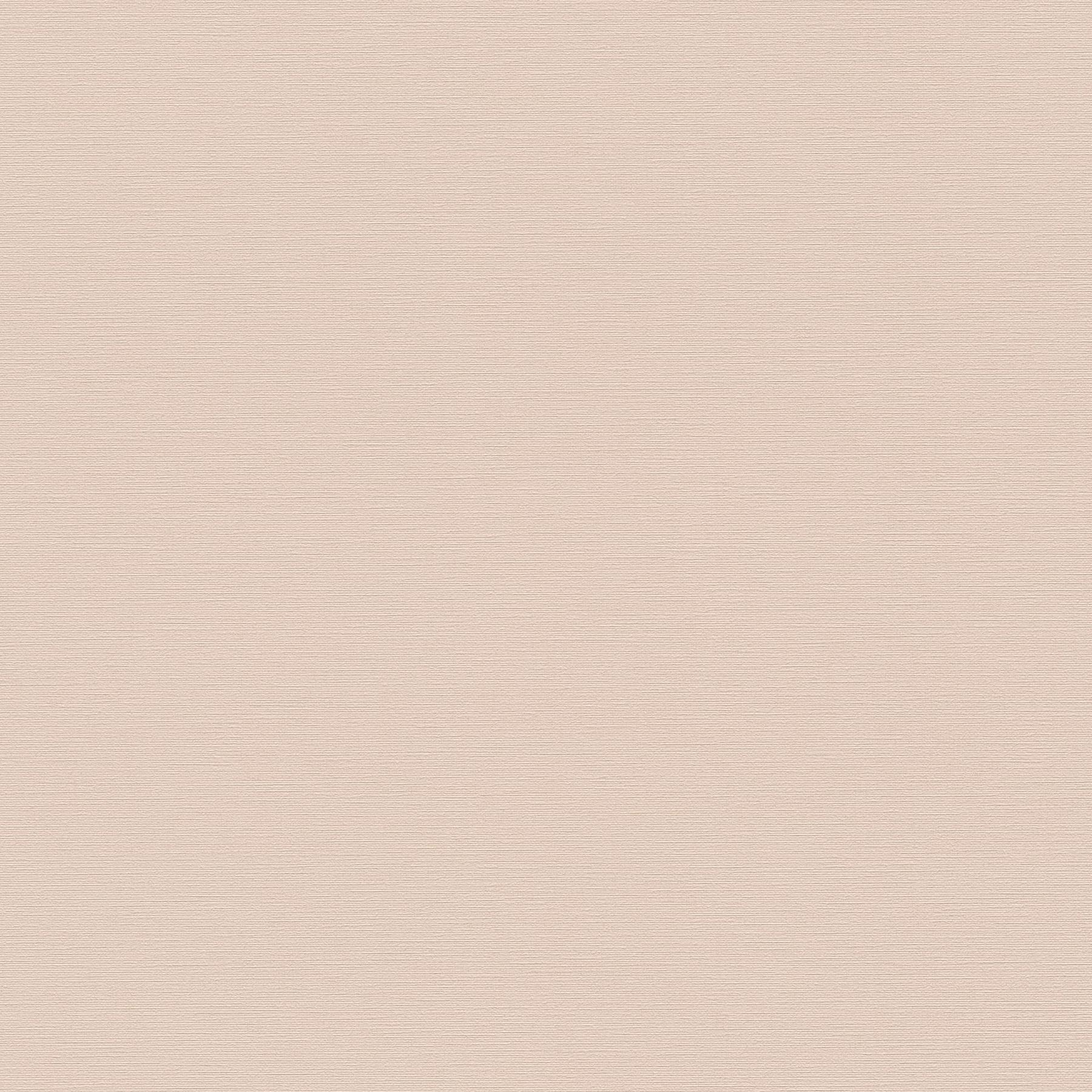 Vliestapete 390982 Pink Uni Einfarbig Aquarell Dreams A.S. Creation