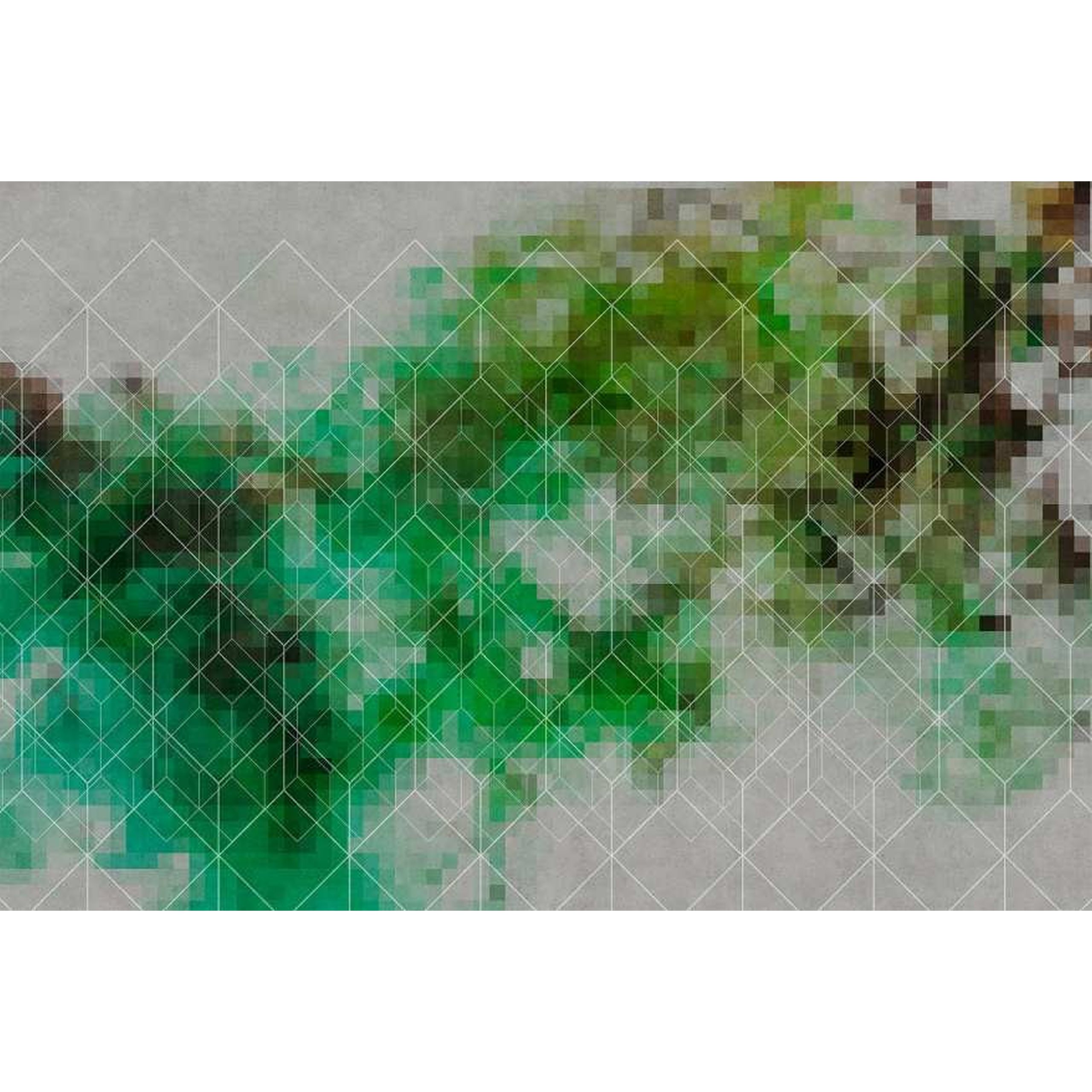 A.S. Creation | Walls by Patel 1 | DD110916 | Fototapete | Vlies | Versch. Größen | Abstrakt | Grün