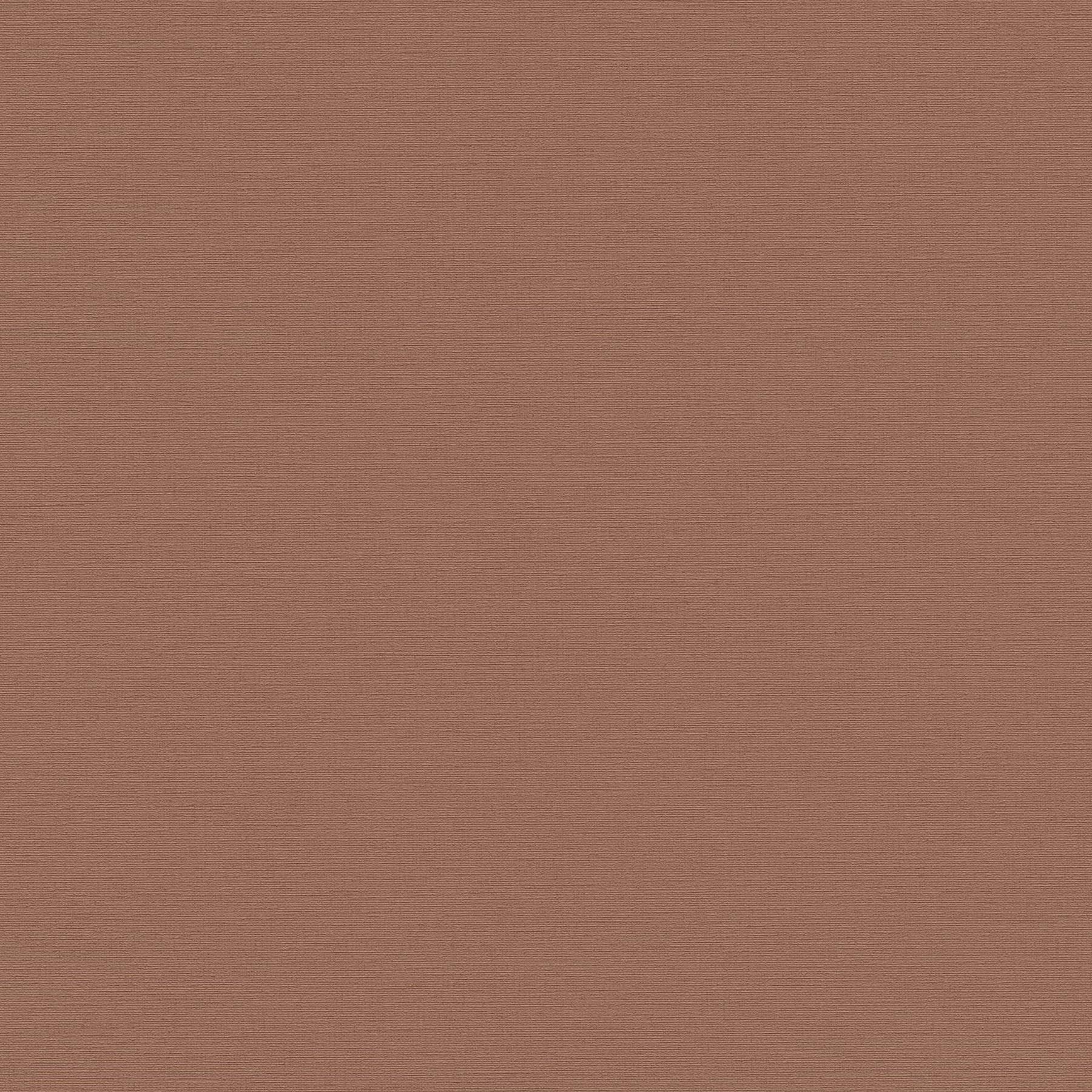 Vliestapete 390978 Rot Braun Uni Einfarbig Aquarell Dreams A.S. Creation