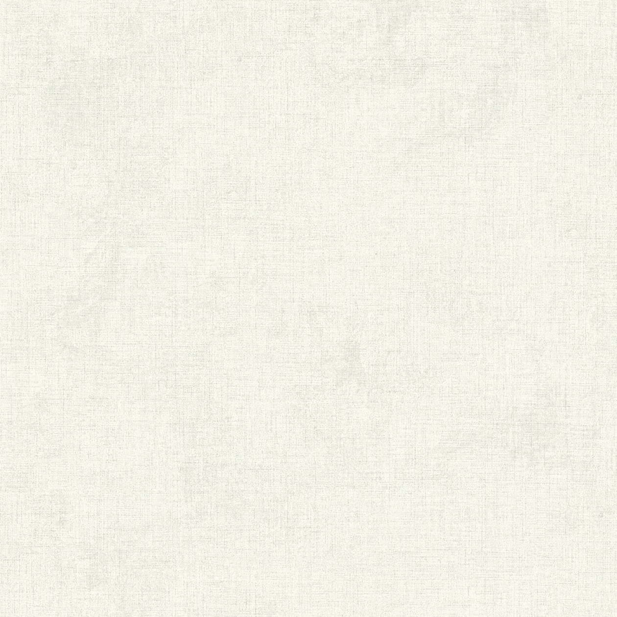 A.S. Creation | New Walls | 374311 | Vliestapete | Betonoptik | 0.53 x 10.05 m | Grau