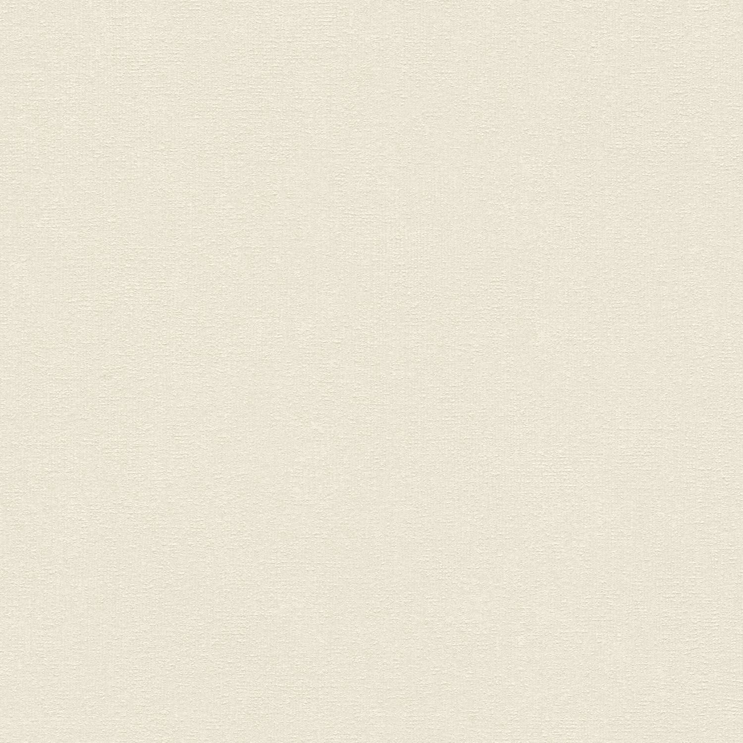 A.S. Creation | Terra | 389251 | Vliestapete | Einfarbig | 10.05 x 0.53 m | Creme