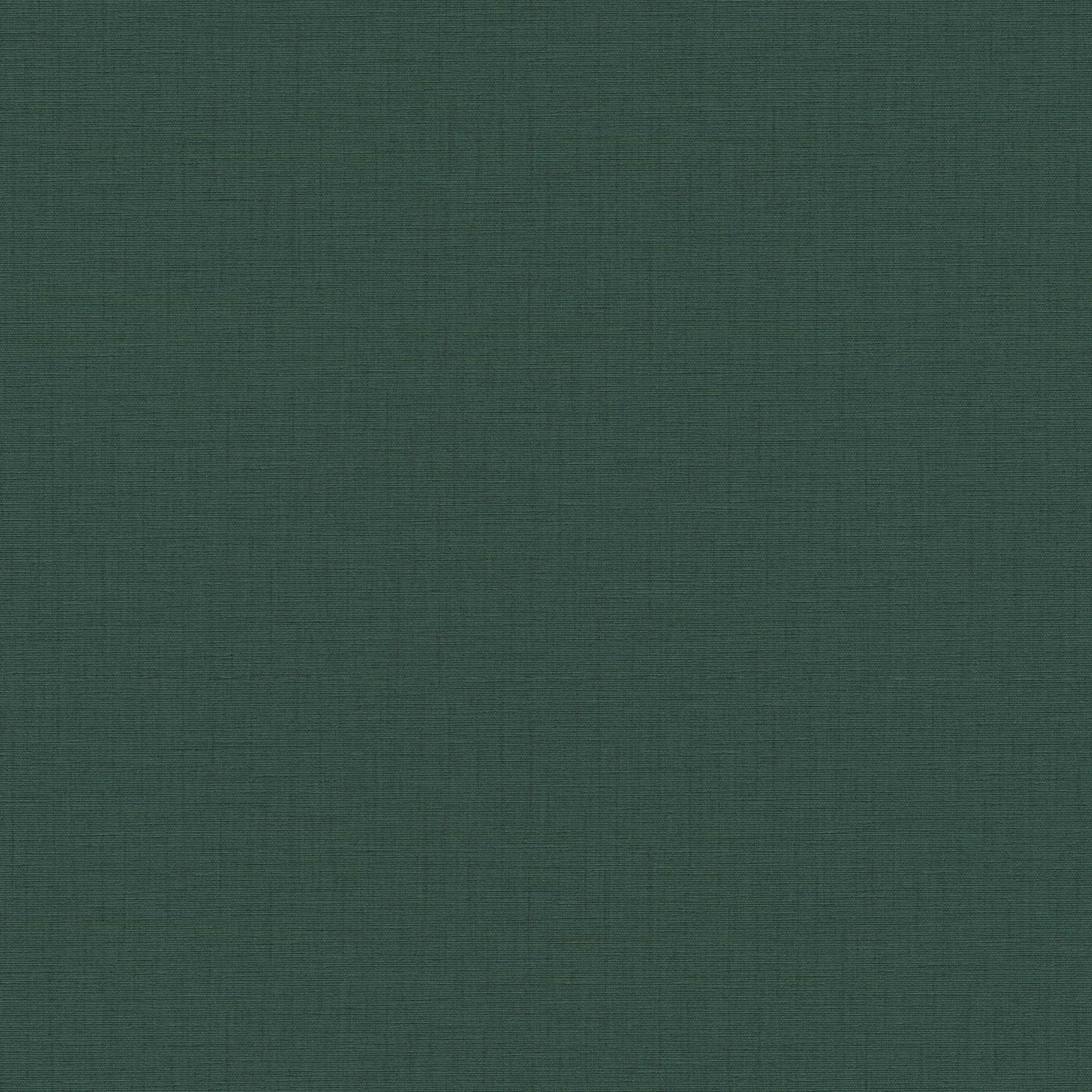 A.S. Creation | Metropolitan Stories 2 | 379533 | Vliestapete | Uni | 0.53 x 10.05 m | Grün