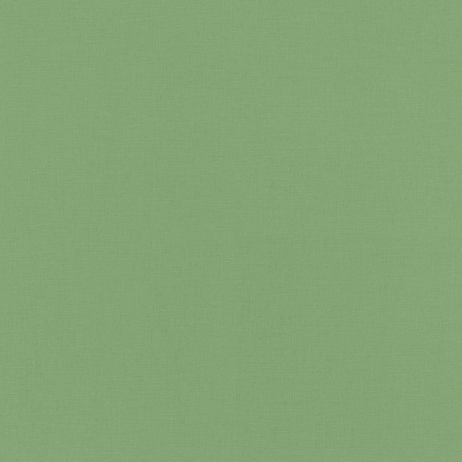 Rasch | Onszelf Stories | 537918 | Vliestapete | Einfarbig | Uni | 0.53 x 10.05 m | Grün