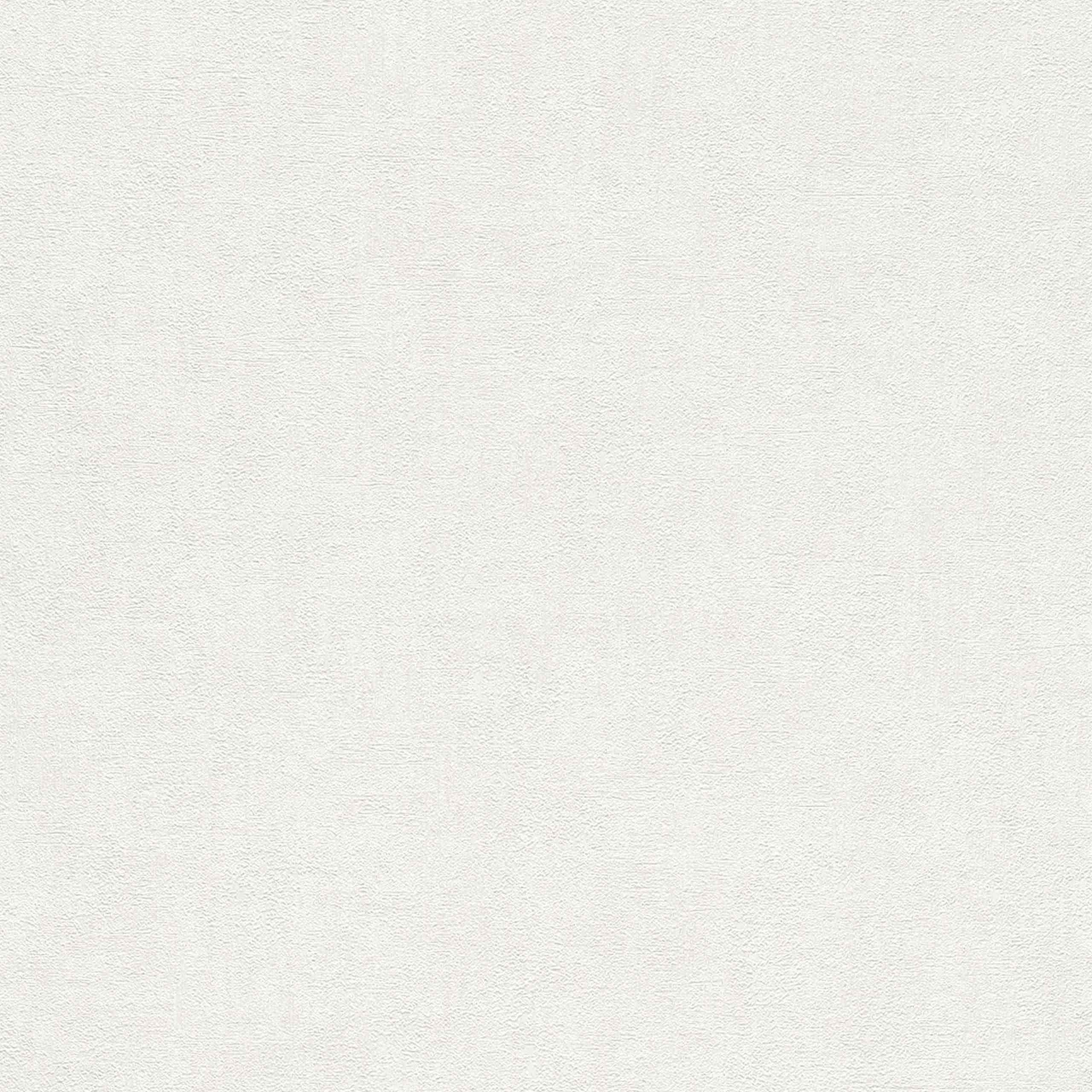 Rasch | Young Artists | 489965 | Vliestapete | Einfarbig | Uni | 0.53 x 10.05 m | Beige
