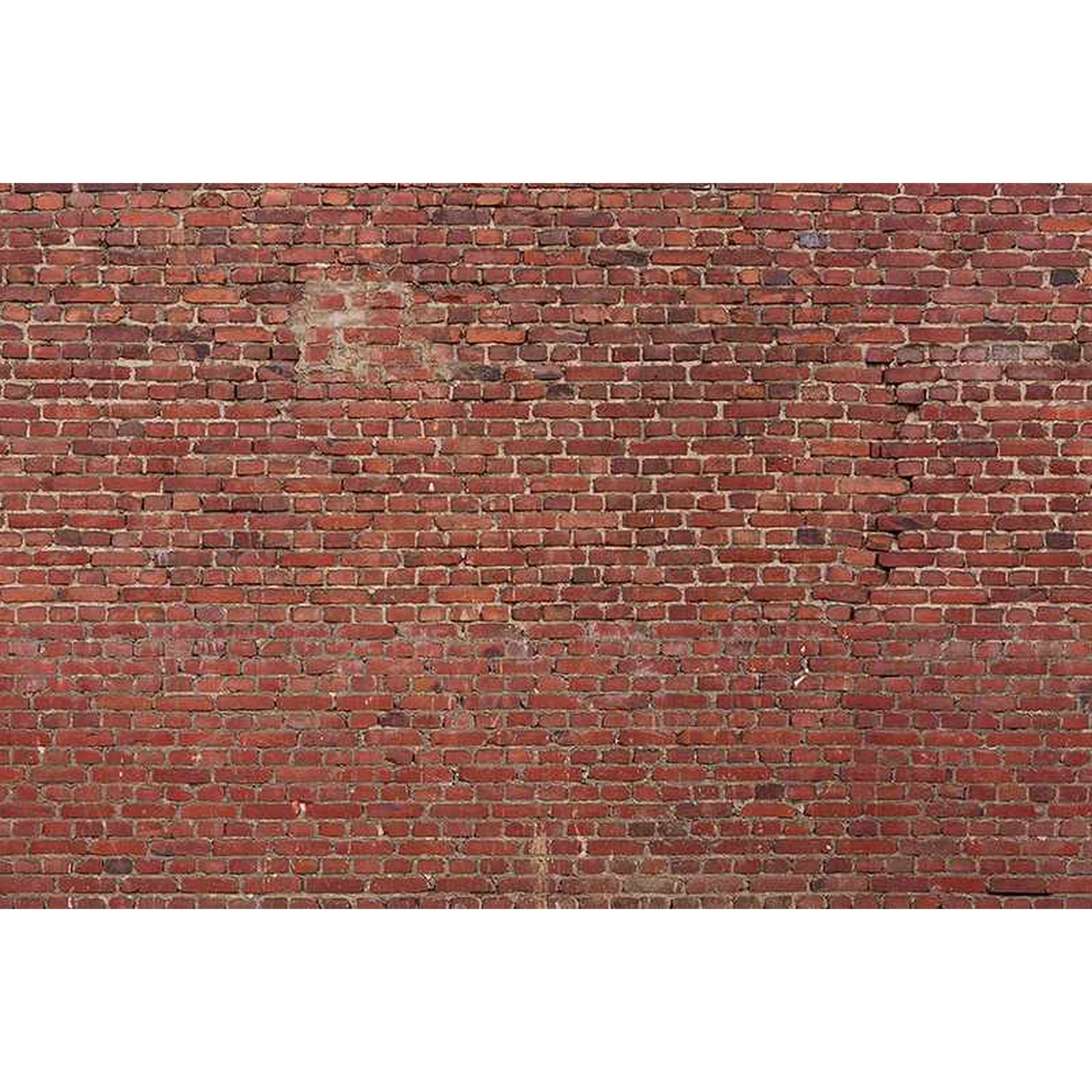 A.S. Creation | AP Digital 4 | DD108765 | Fototapete | Vlies | Versch. Größen | Stein & Beton | Rot