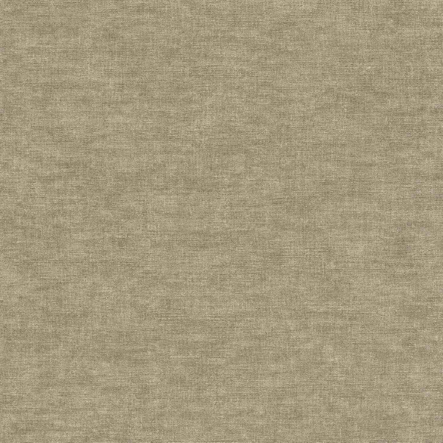 A.S. Creation | Smart Surfaces | 395666 | Vliestapete | Uni | Einfarbig | 0.53 x 10.05 m | Braun