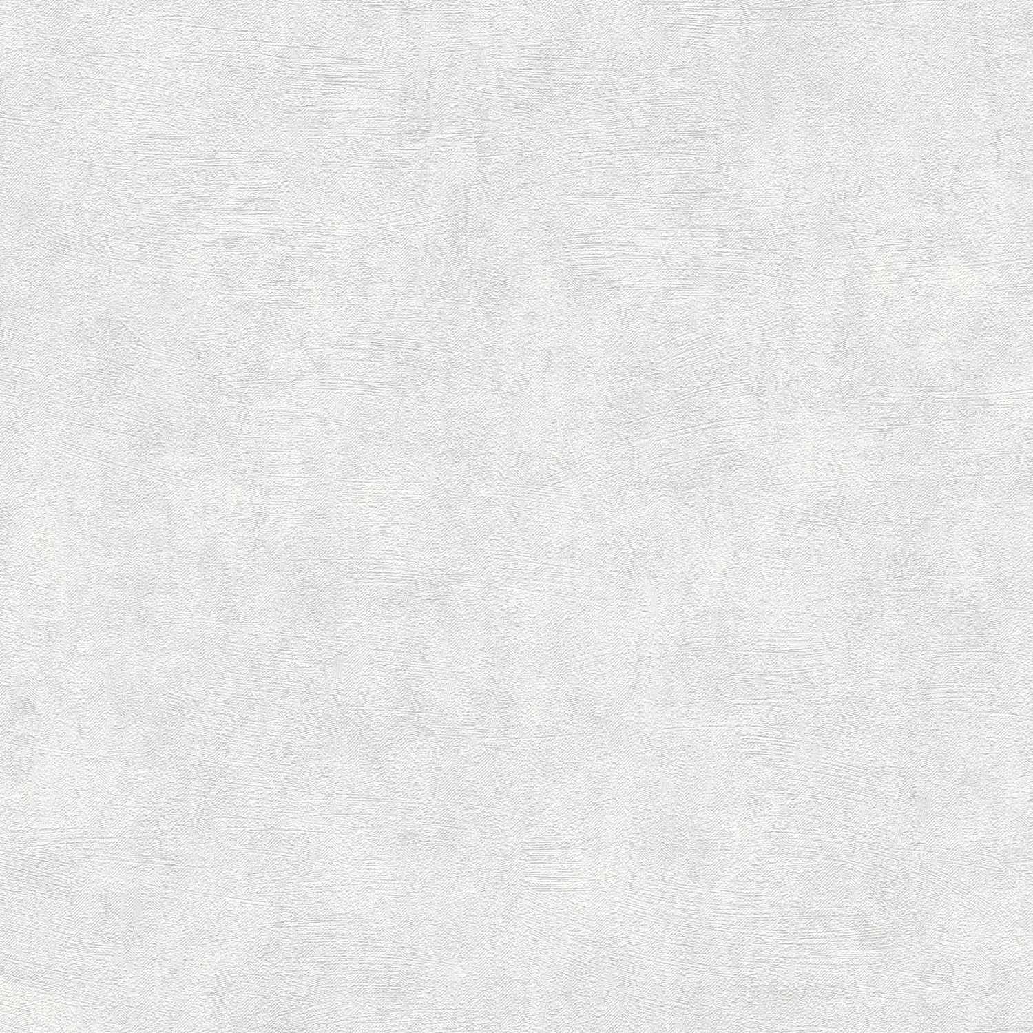 A.S. Creation | Terra | 389221 | Vliestapete | Einfarbig | 10.05 x 0.53 m | Weiß