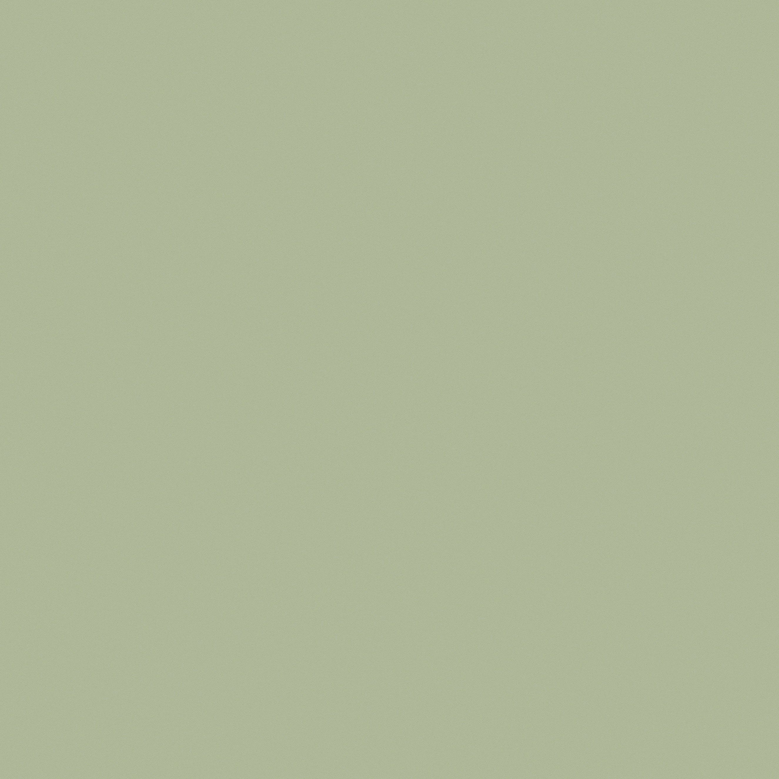 A.S. Creation | New Life | 376804 | Vliestapete | Einfarbig | Uni | 0.53 x 10.05 m | Grün