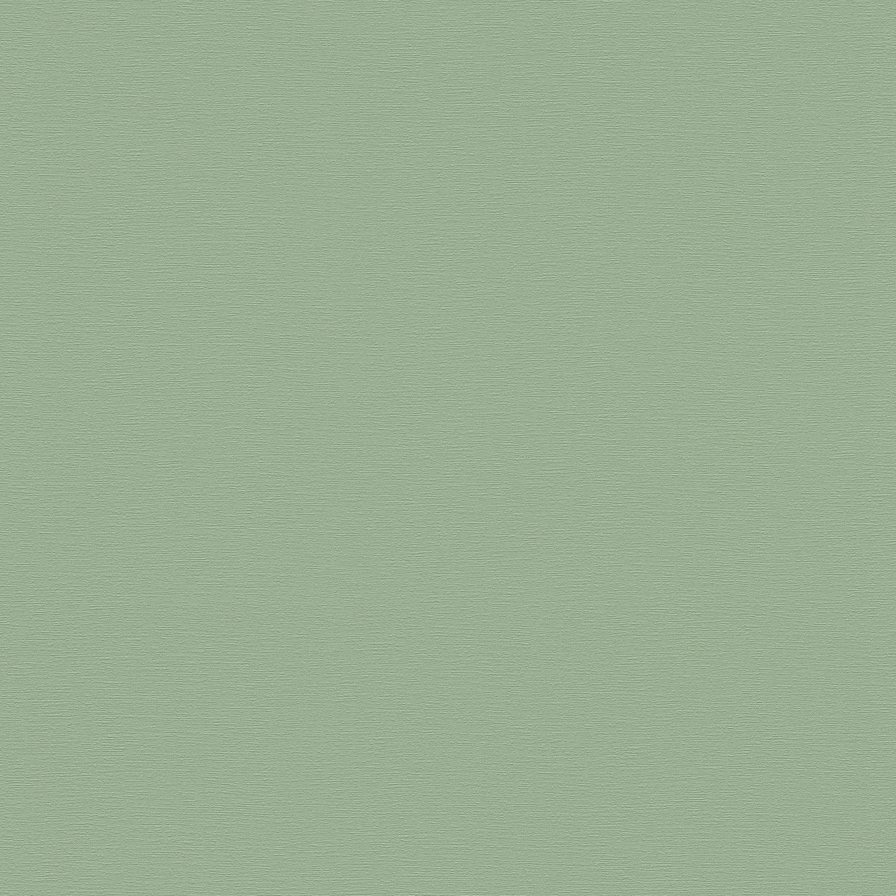 Vliestapete 395801 Grün Uni Einfarbig French Affair  A.S. Creation