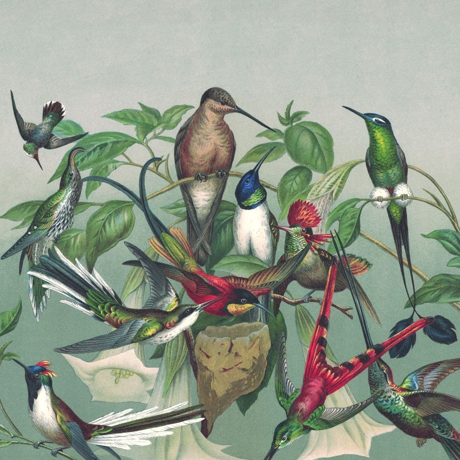 Rasch Fototapete 543551 Curiosity 265 x 265 cm Botanical Dschungel