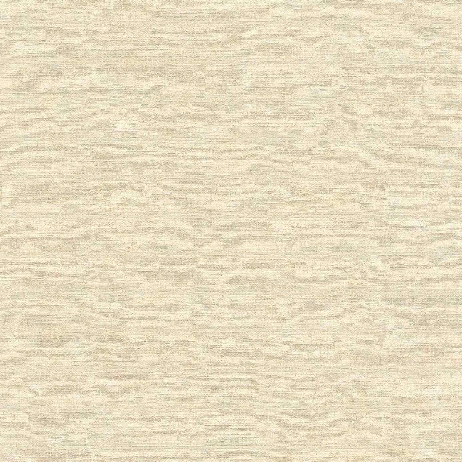A.S. Creation | Smart Surfaces | 395656 | Vliestapete | Uni | Einfarbig | 0.53 x 10.05 m | Beige