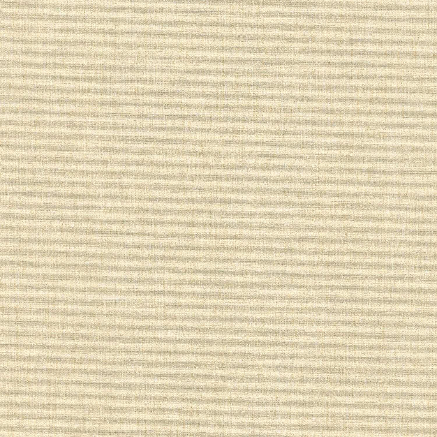 A.S. Creation | Stories of Life | 396518 | Vliestapete | Einfarbig | Uni | 0.53 x 10.05 m | Beige