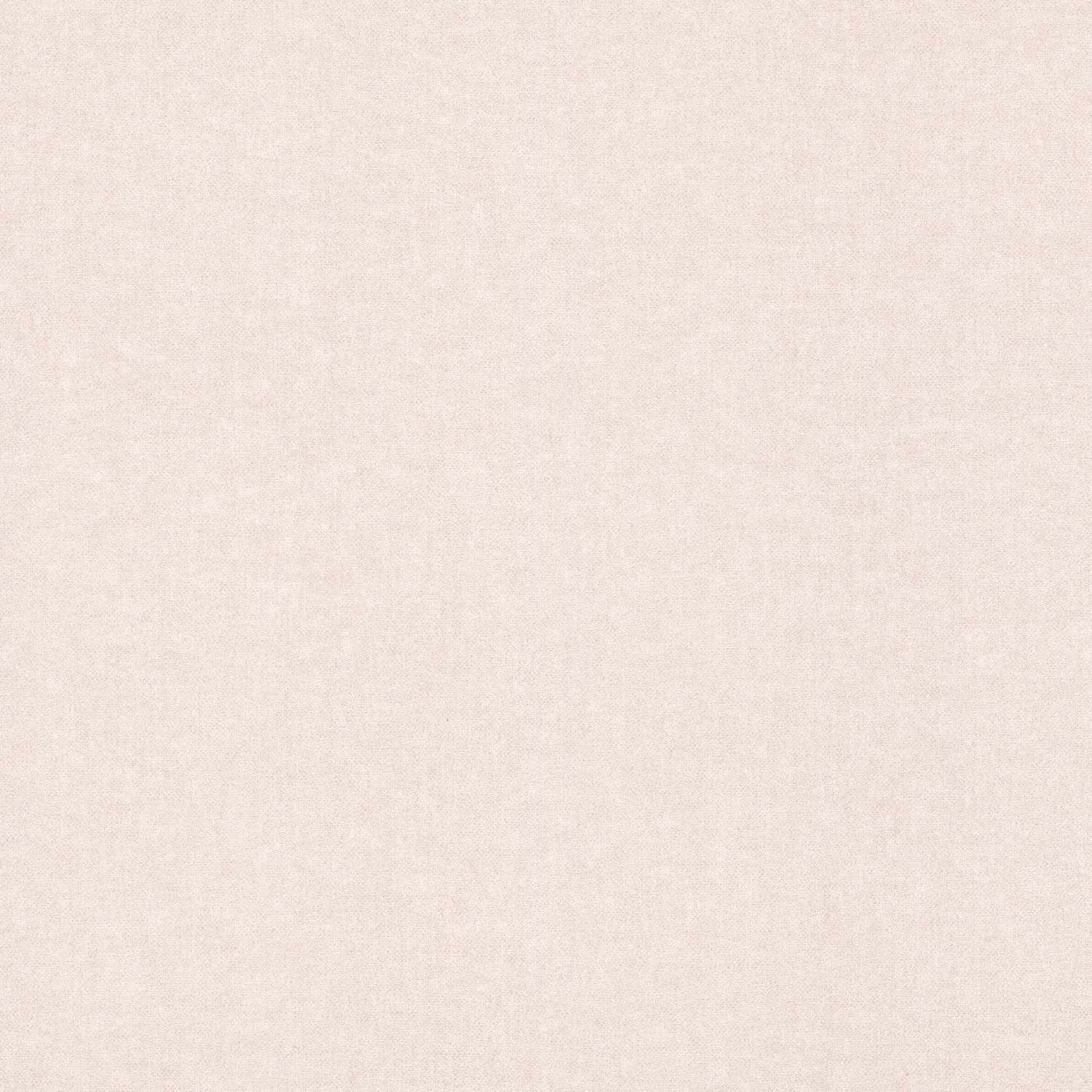 Rasch | Bambino XIX | 252811 | Vliestapete | Einfarbig | Uni | 0.53 x 10.05 m | Beige