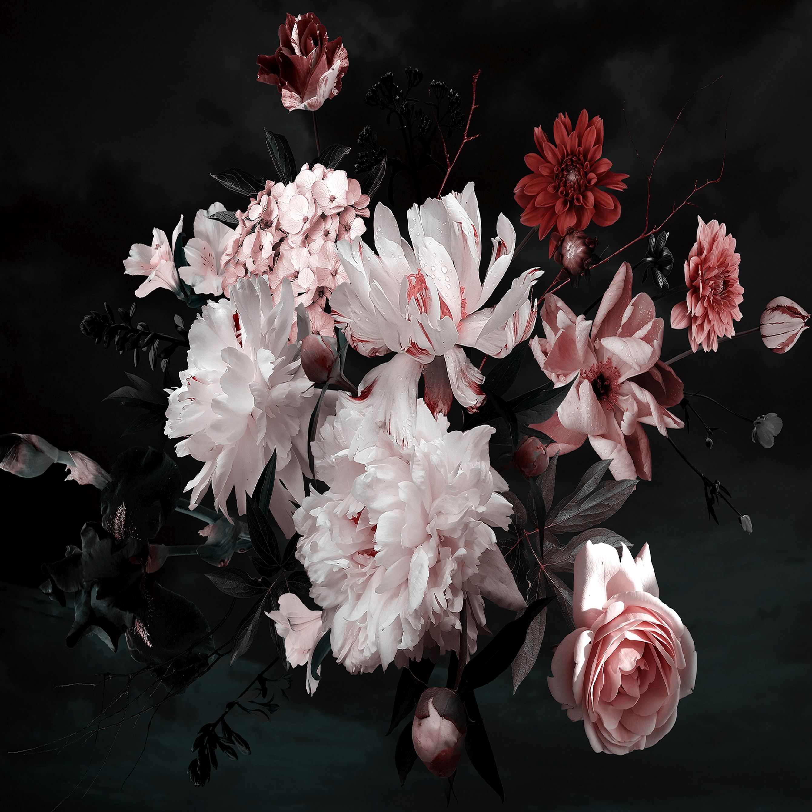 A.S. Creation | Designwalls | DD118520 | Fototapete | Vlies | 350 x 255 cm | Wald & Pflanzen | Bunt