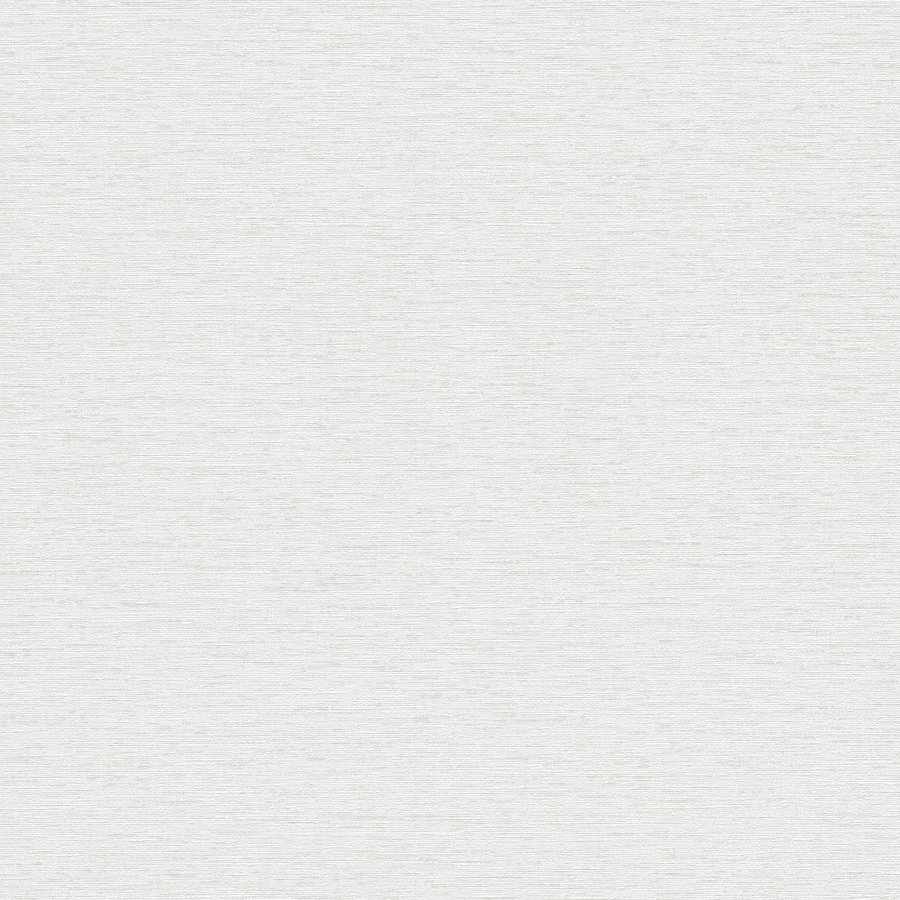 A.S. Creation | Famous Garden | 393513 | Vliestapete | Einfarbig | 10.05 x 0.53 m | Grau