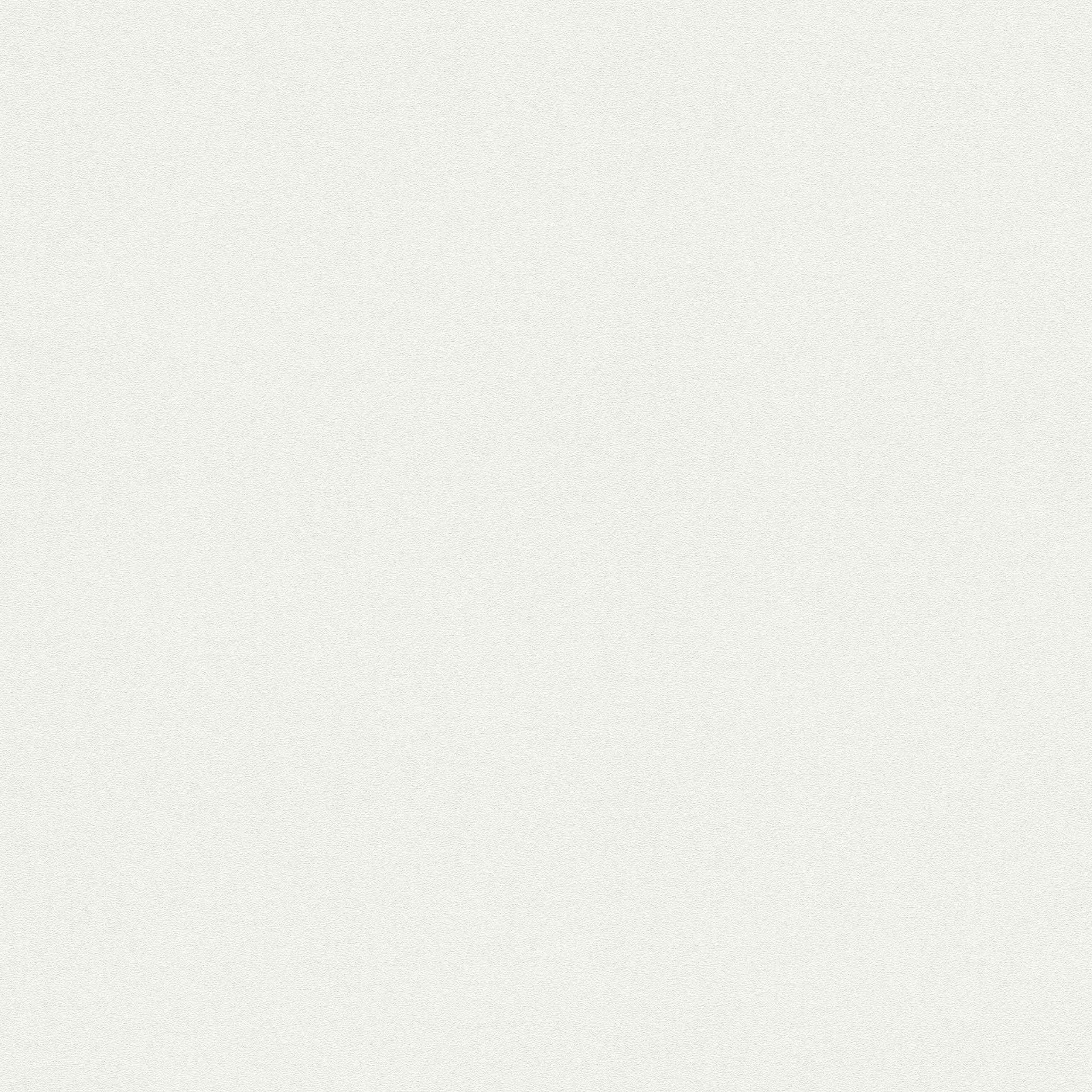 A.S. Creation | Meistervlies | 574718 | Vliestapete Überstreichbar | Putz | 1.06 x 25 m | Weiß