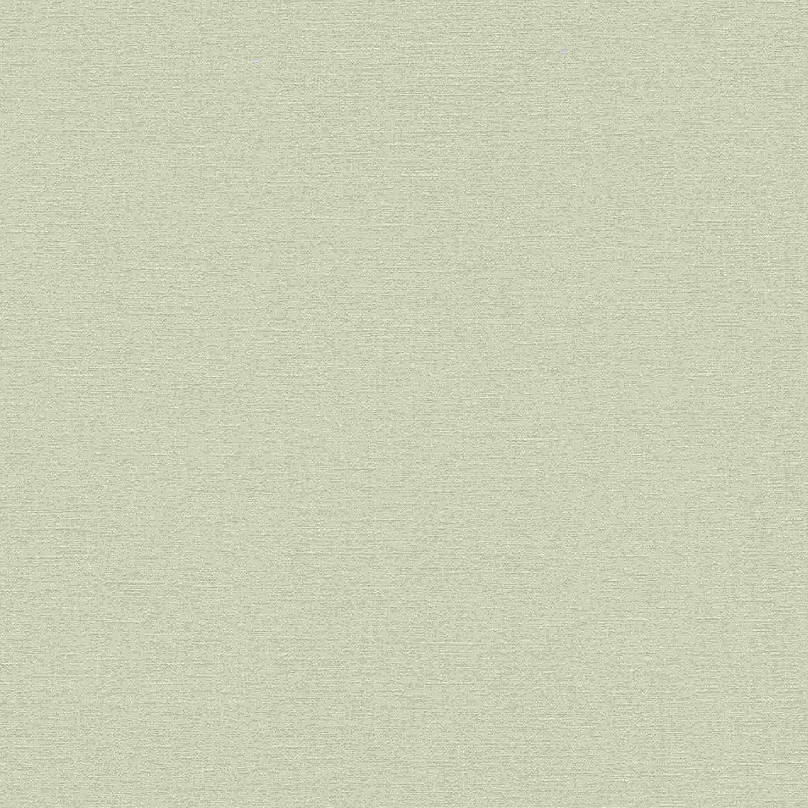 A.S. Creation | Natural Living | 376035 | Vliestapete | Einfarbig | 10.05 x 0.53 m | Greige 