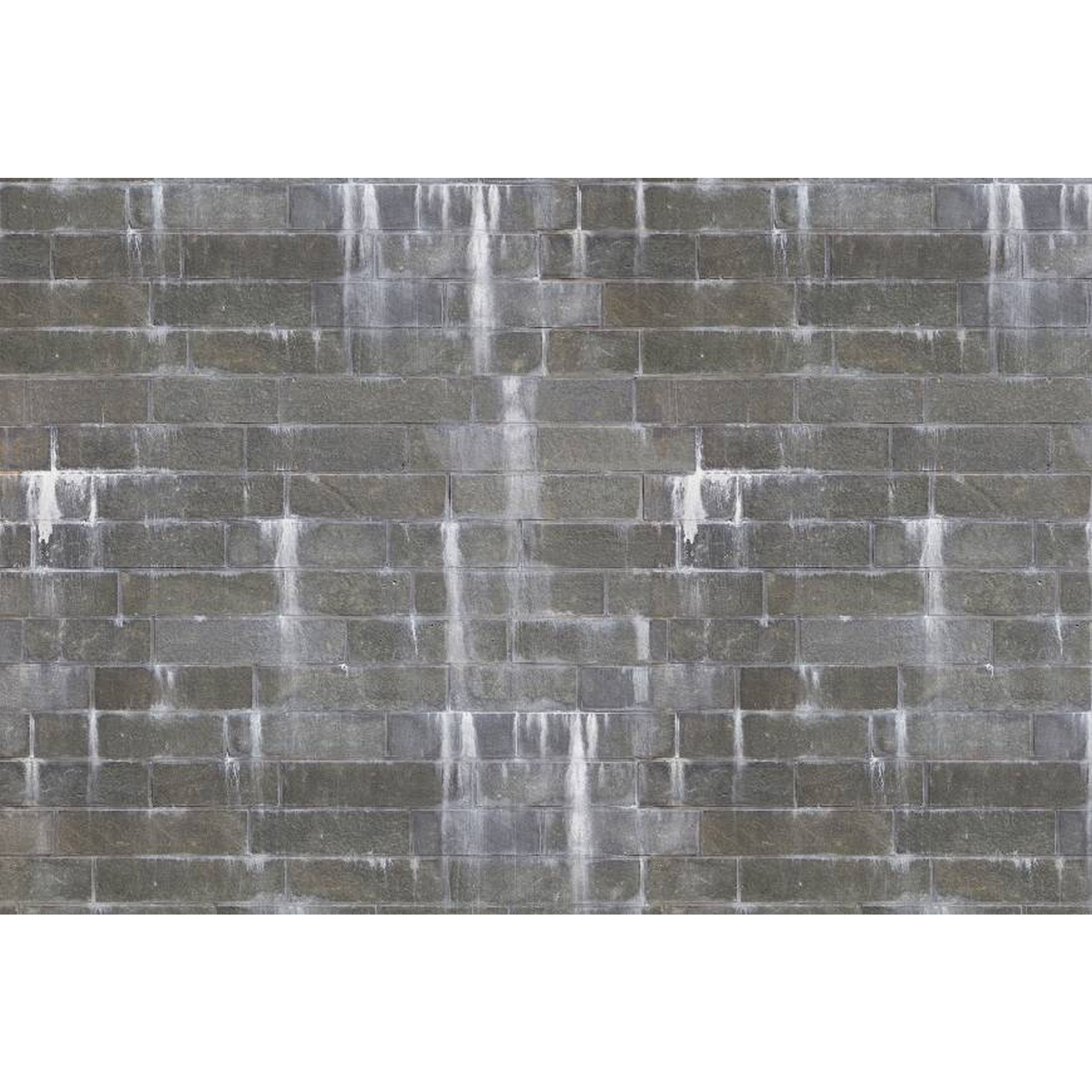 A.S. Creation | AP Digital 4 | DD108780 | Fototapete | Vlies | Versch. Größen | Stein & Beton | Grau