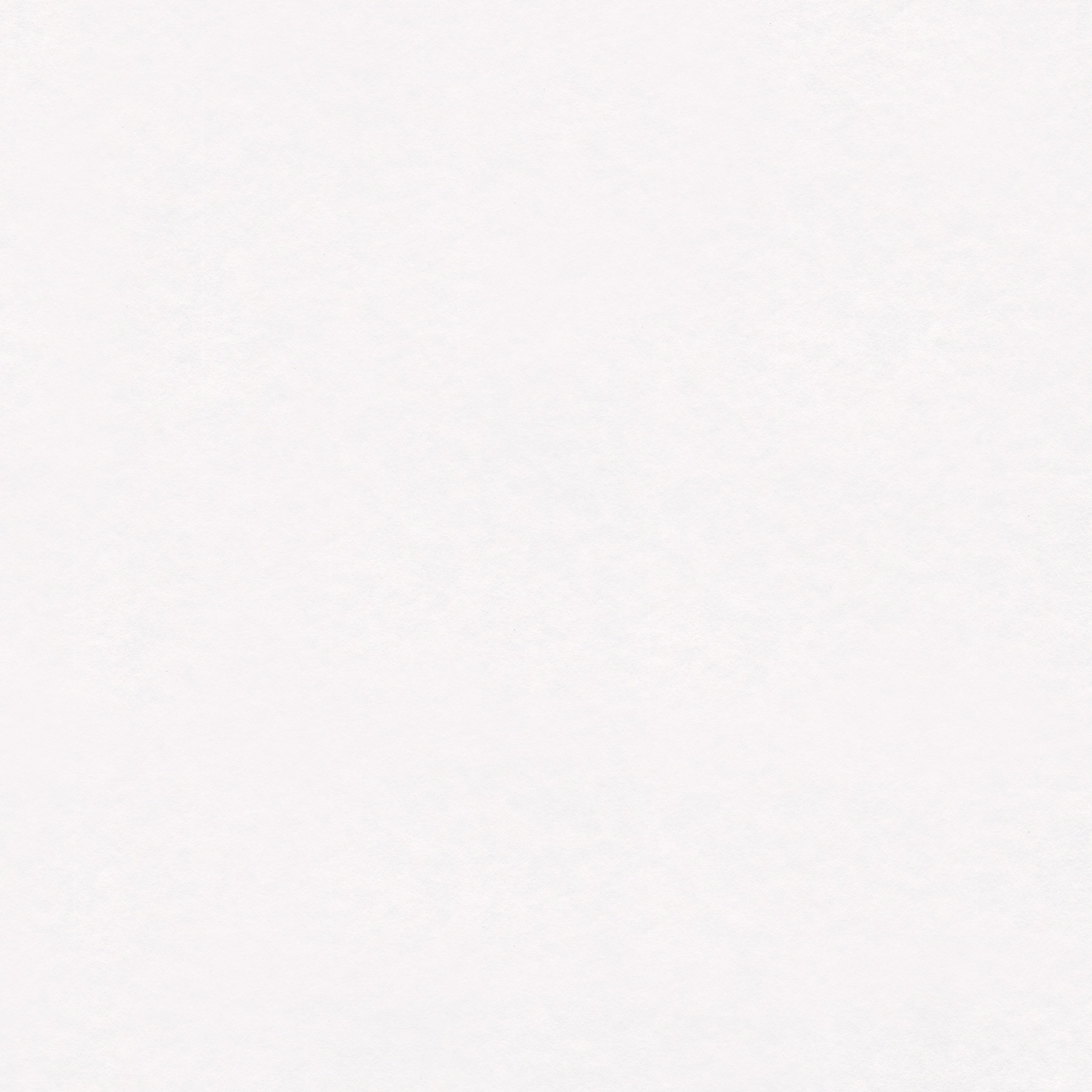 A.S. Creation | Meistervlies | 144010 | Vliestapete | Einfarbig | Uni | 0.53 x 10.05 m | Weiß