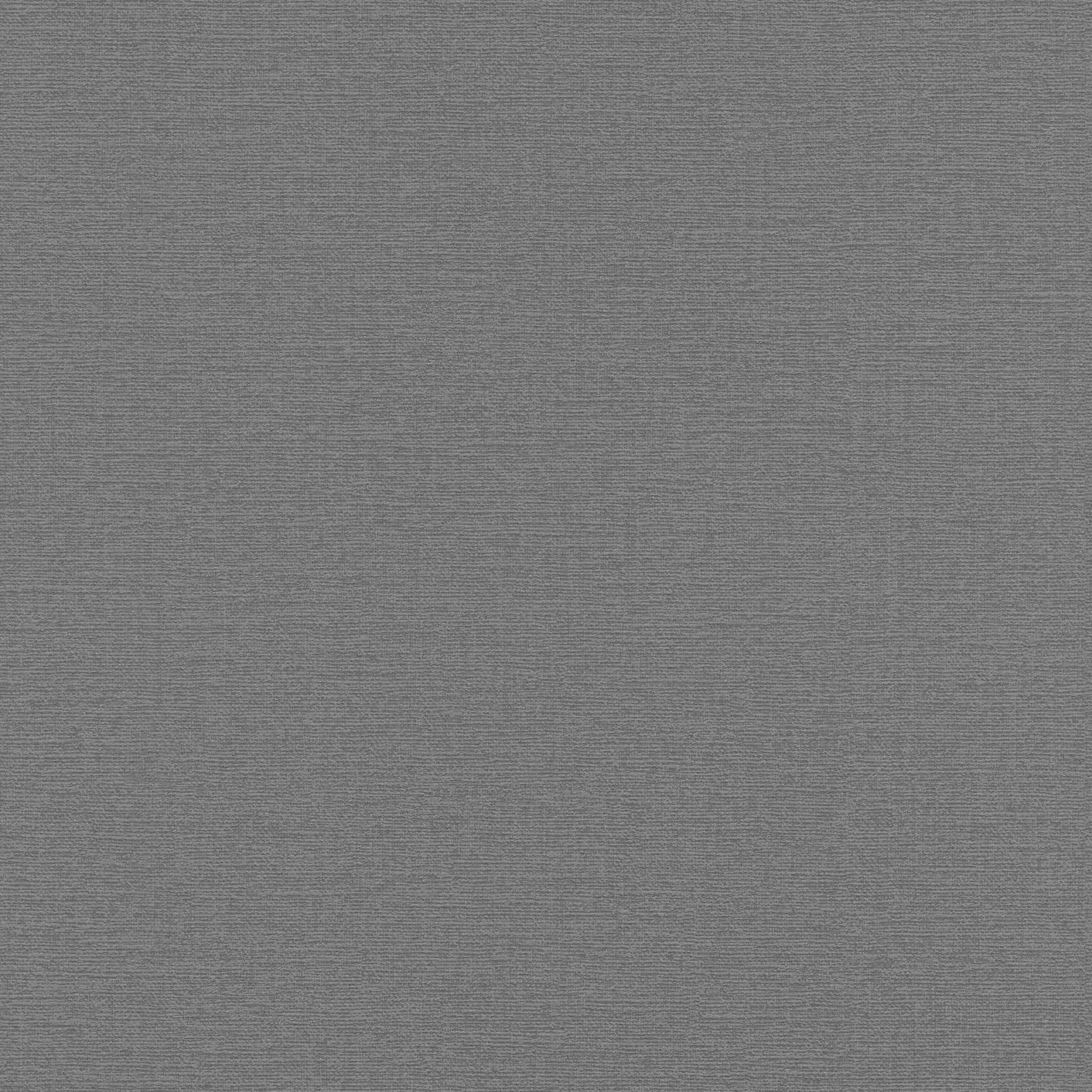 Rasch | Selection | 804522 | Vliestapete | Einfarbig | Uni | 0.53 x 10.05 m | Grau