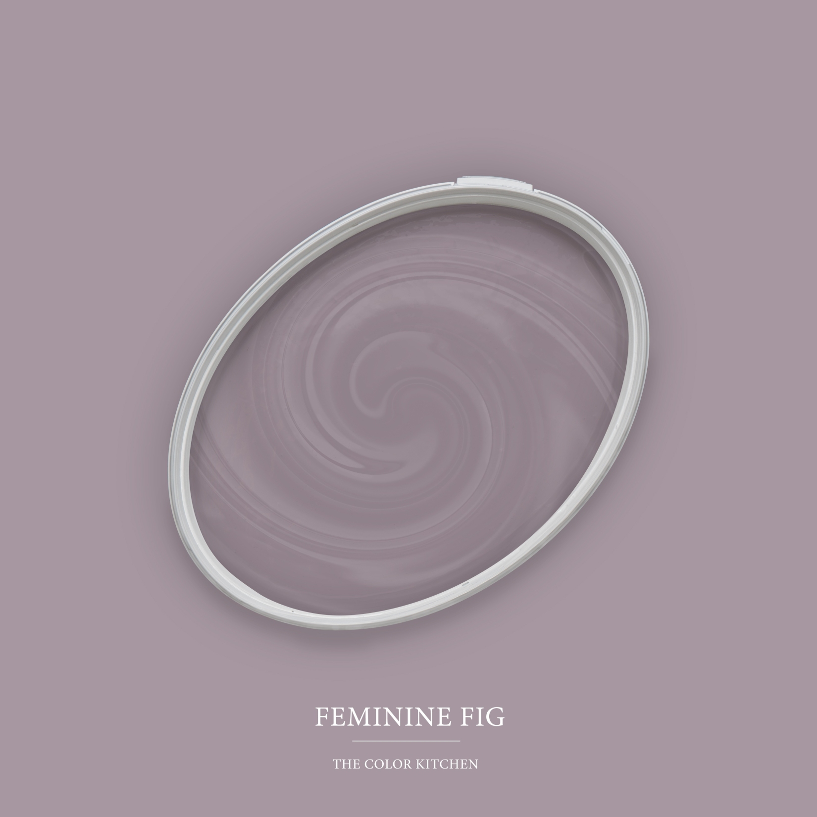 Wandfarbe Violett matt | The Color Kitchen Feminine Fig | Exklusive Innendispersion Hohe Deckkraft