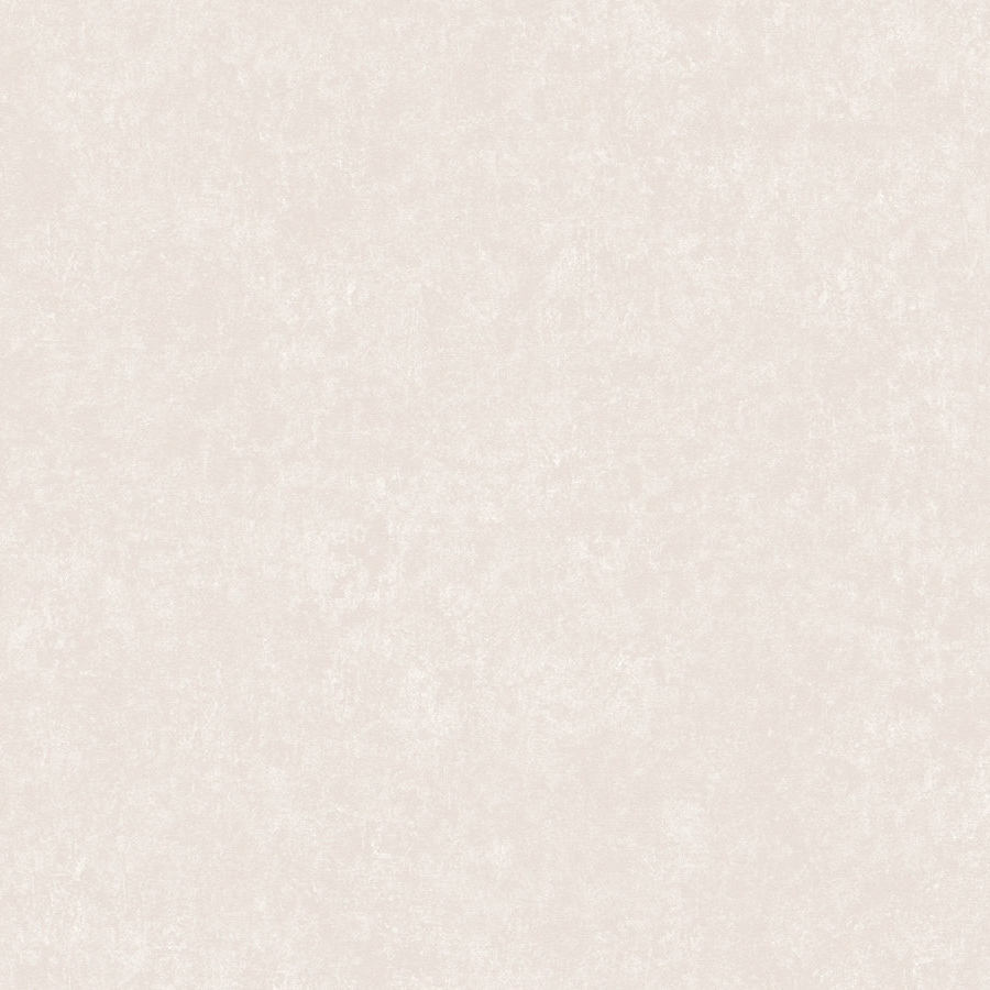 A.S. Creation | Styleguide Design 2024 | 385947 | Vliestapete | Einfarbig | 10.05 x 0.53 m | Grau