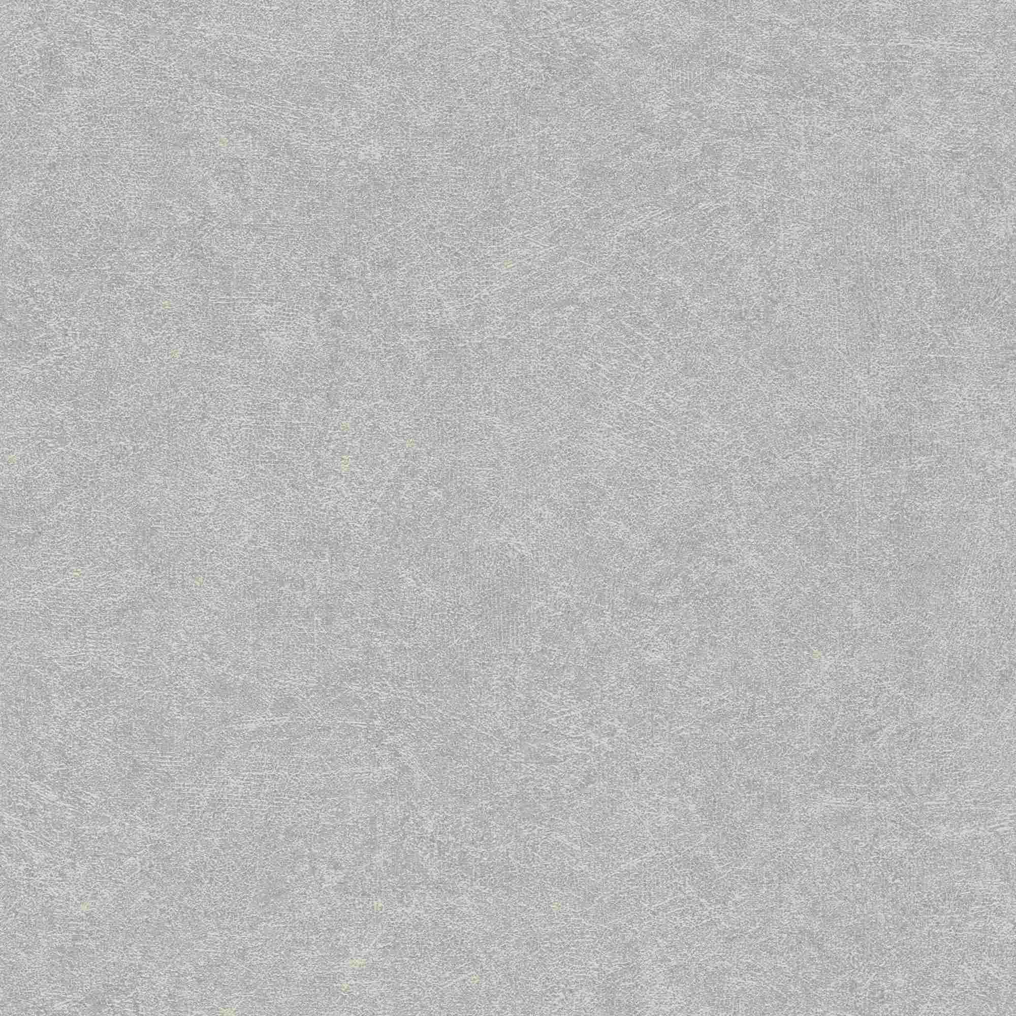 Rasch | Welcome Home | 699807 | Vliestapete | Uni / Einfarbig | 10.05 x 0.53 m | Grau