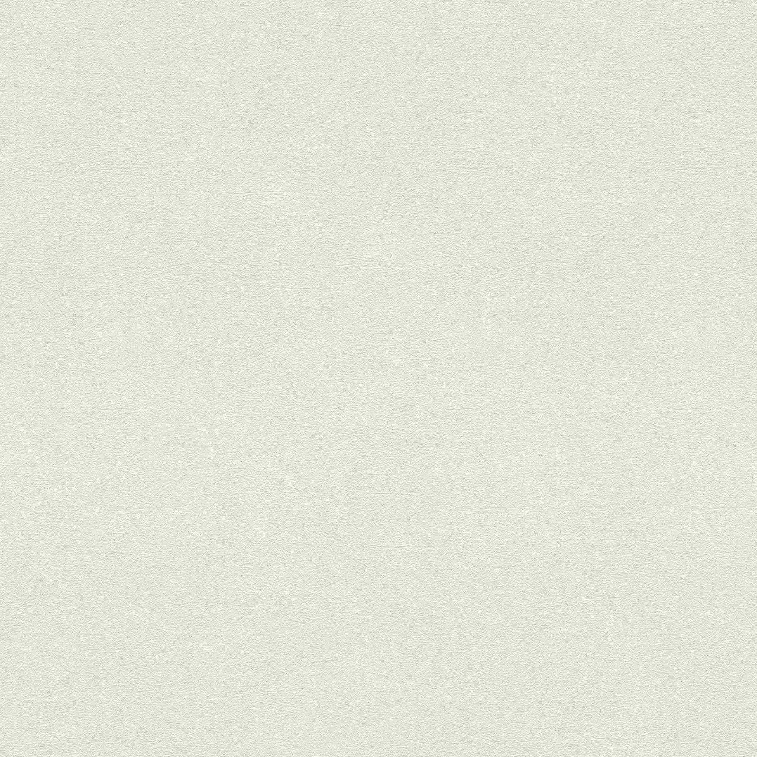Rasch | Selection | 467109 | Vliestapete | Einfarbig | Uni | 0.53 x 10.05 m | Beige