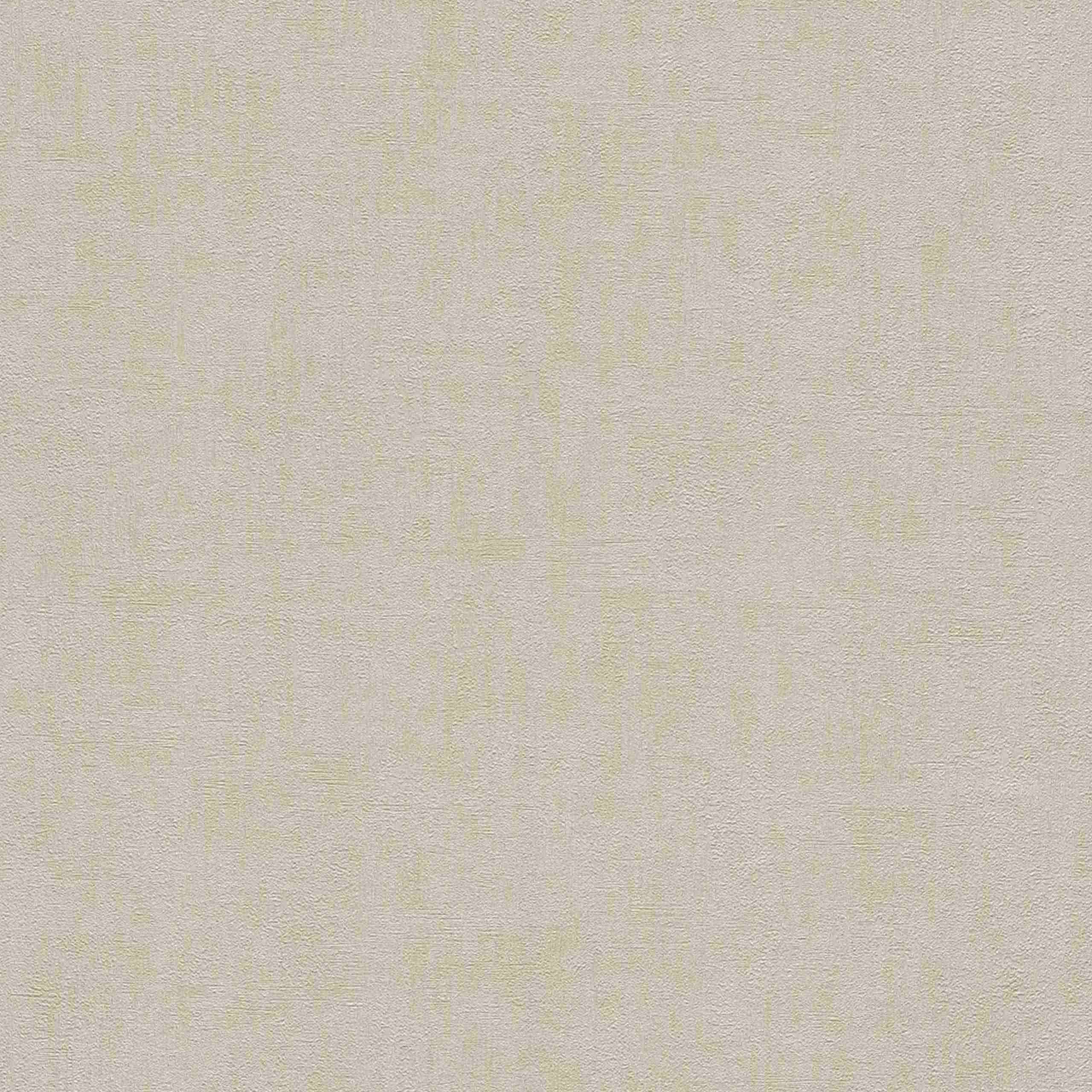 Rasch | Young Artists | 489934 | Vliestapete | Einfarbig | Uni | 0.53 x 10.05 m | Braun